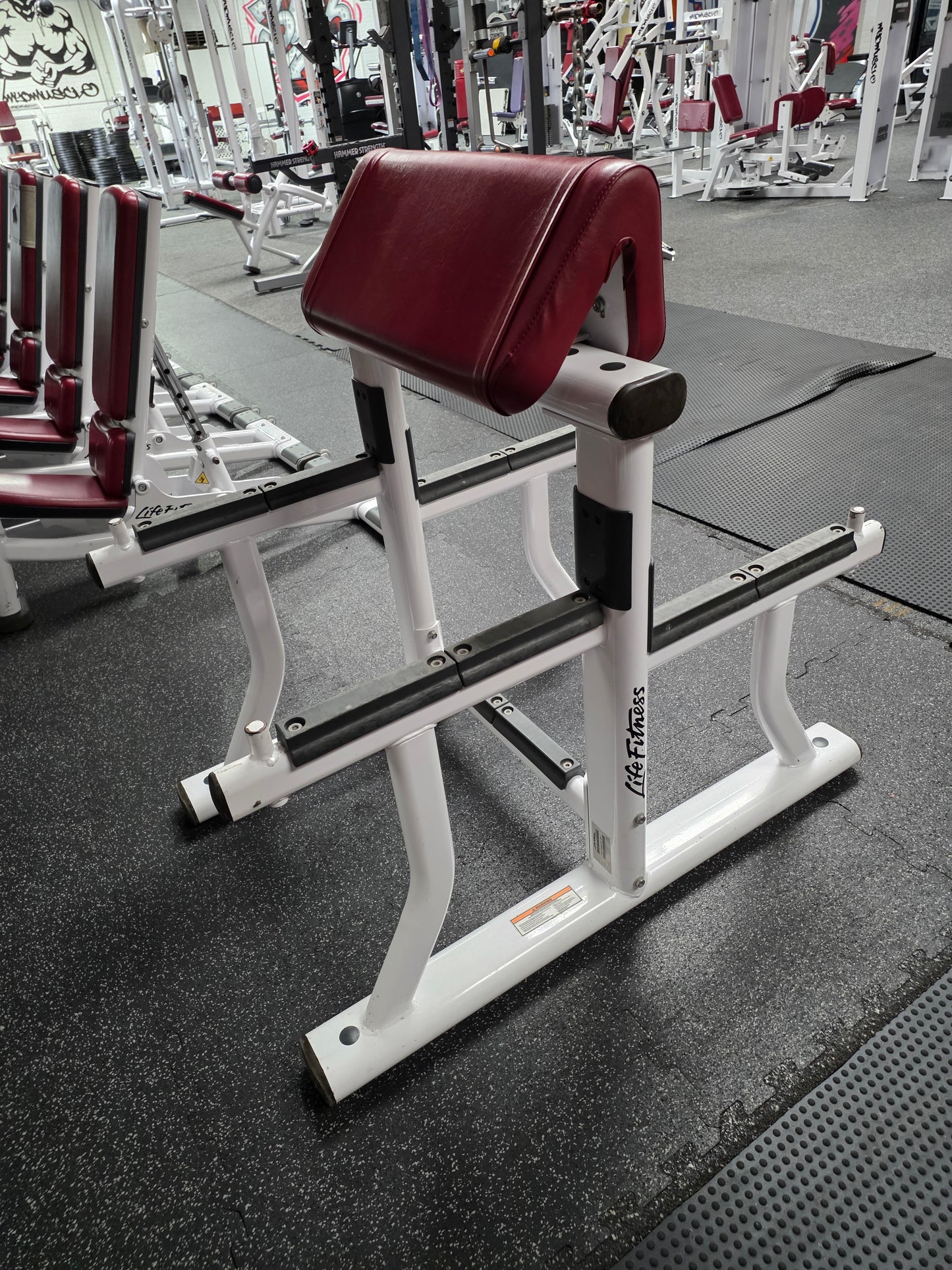 Life Fitness Preacher Curl Bench Commercial Gym Equipment