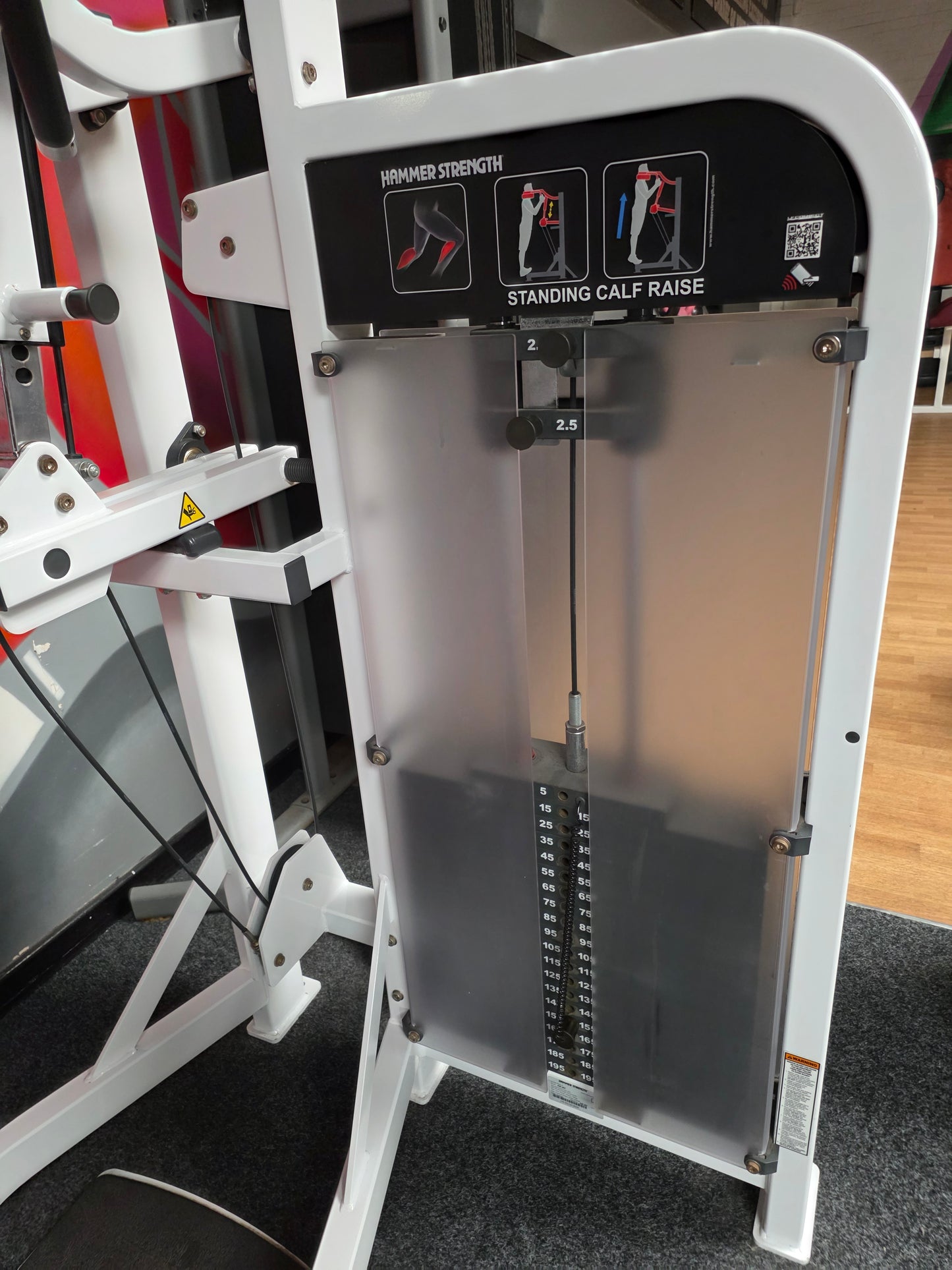 Hammer Strength Standing Calf Raise Commercial Gym Equipment