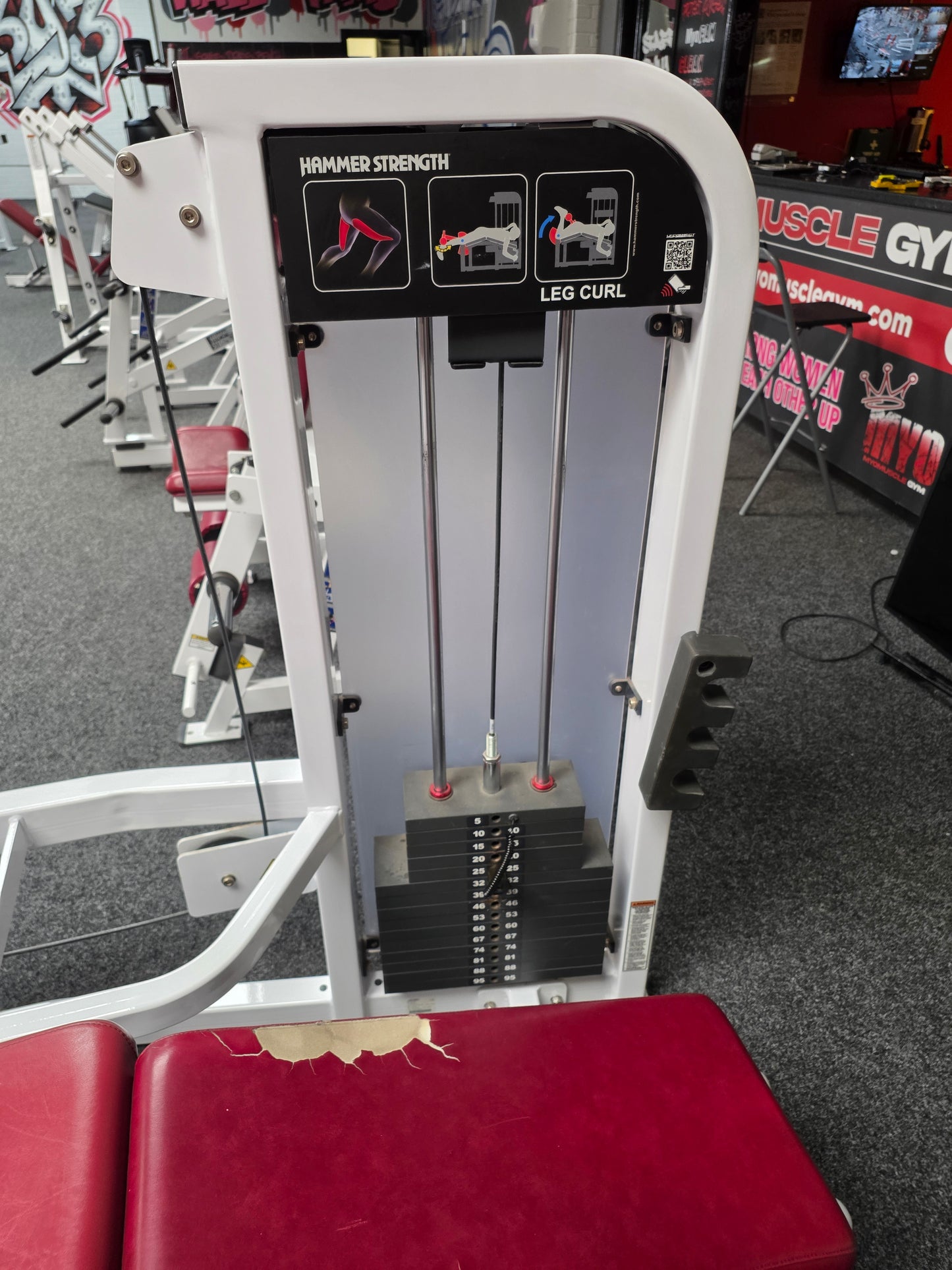 Hammer Strength Lying Leg Curl Machine Commercial Gym Equipment