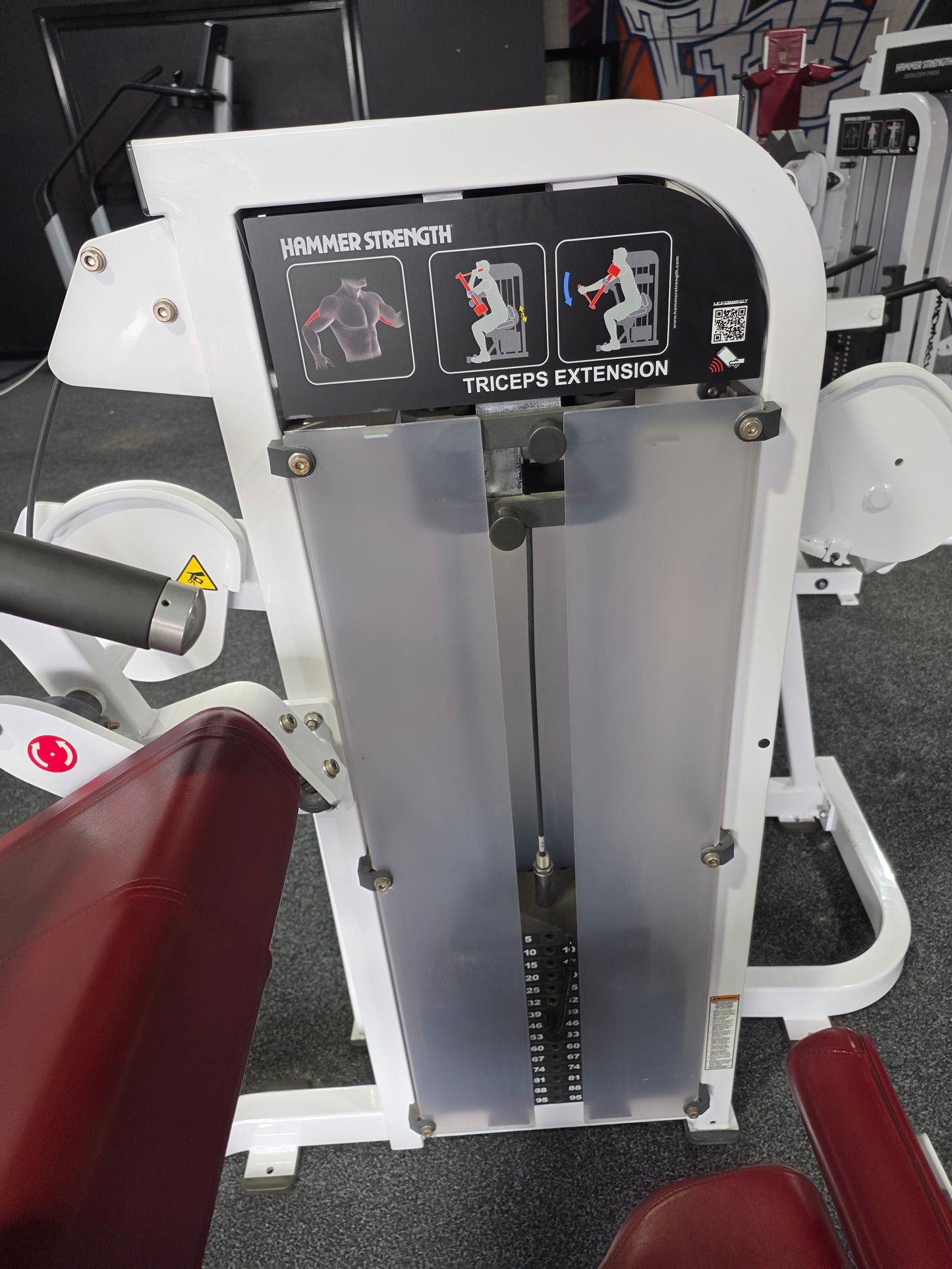 Hammer Strength Tricep Extension Machine Commercial Gym Equipment