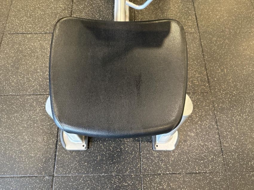 Life Fitness Calf Raise Machine Commercial Gym Equipment