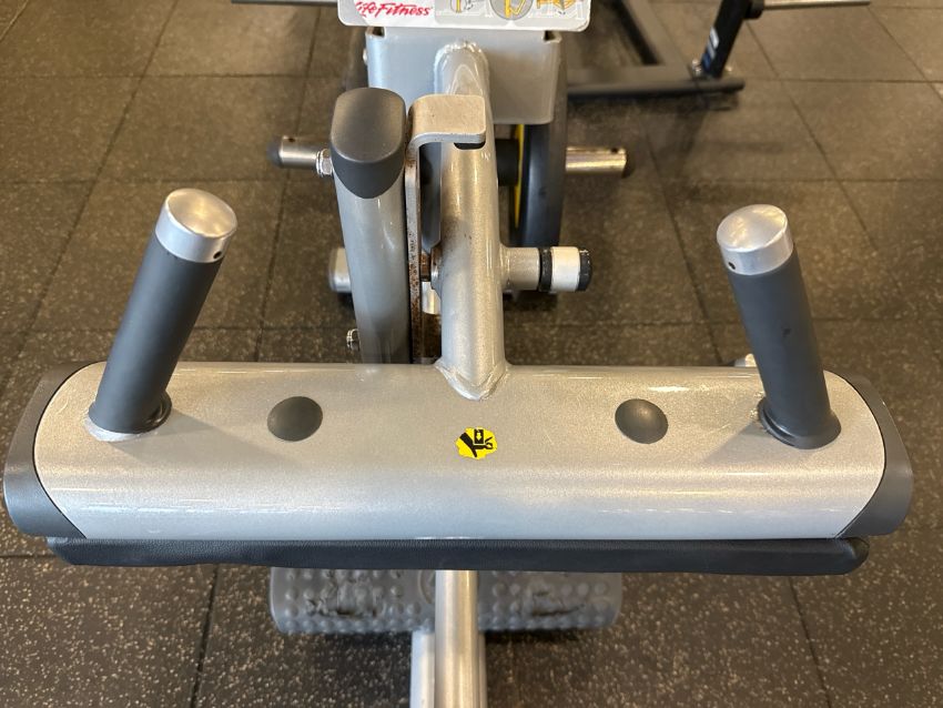 Life Fitness Calf Raise Machine Commercial Gym Equipment
