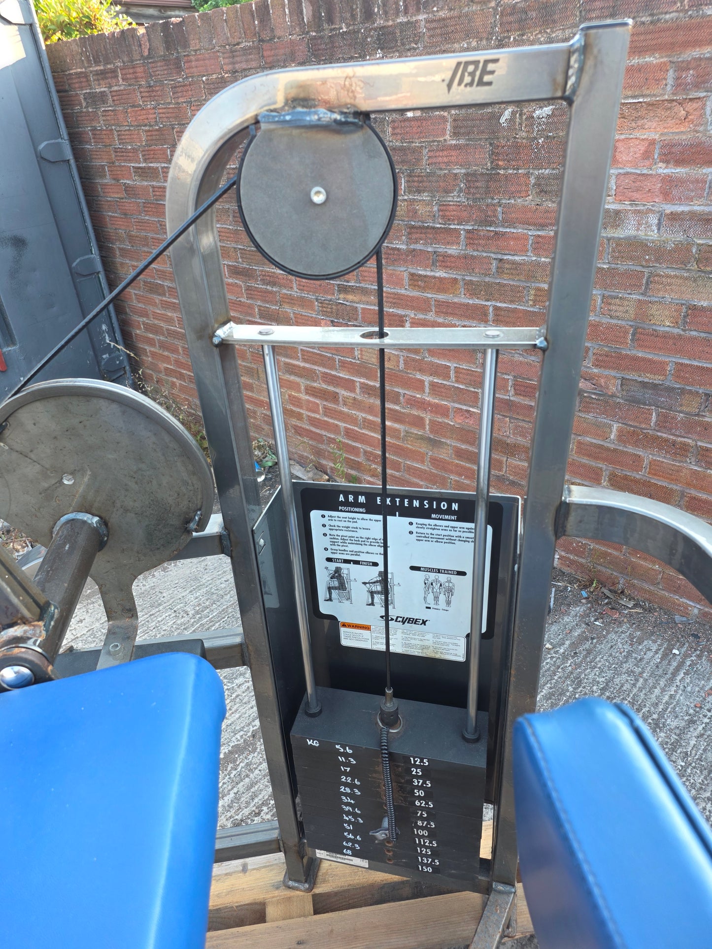 Cybex Tricep Extension Machine Commercial Gym Equipment