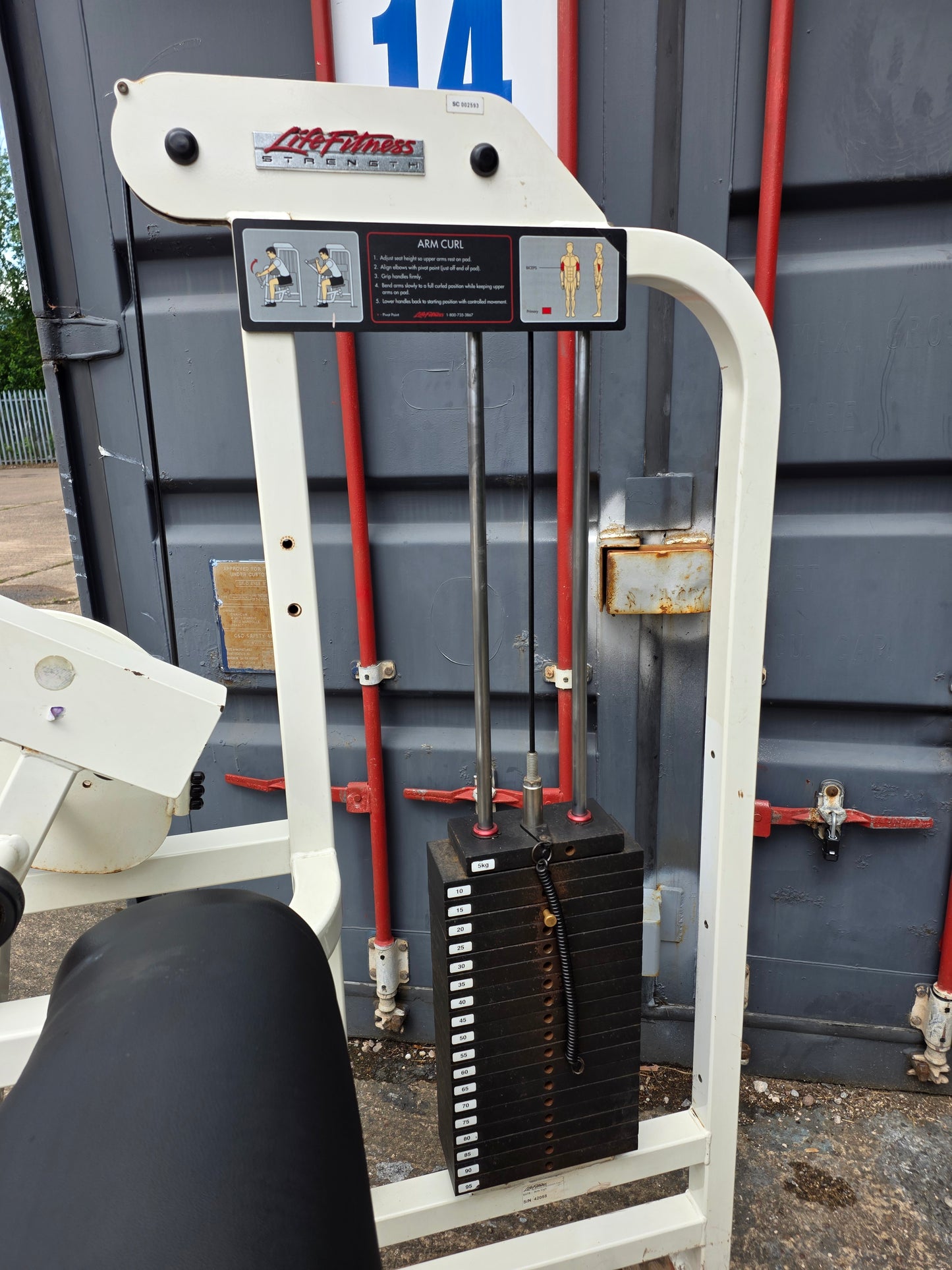 Life Fitness Pro 1 Bicep Curl Machine Commercial Gym Equipment