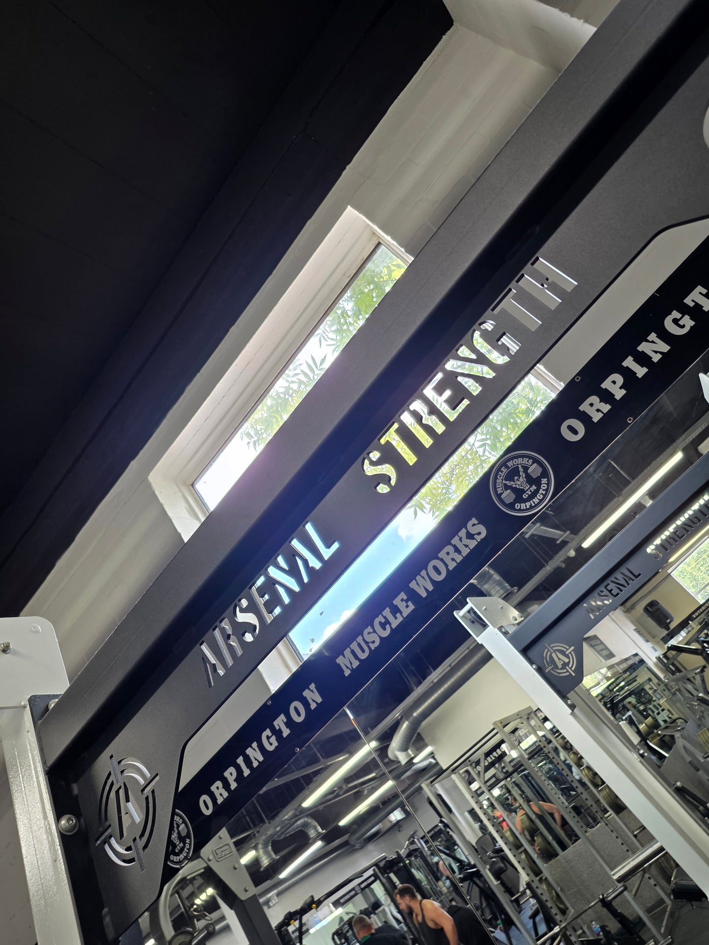 Arsenal Strength Smith Machine Commercial Gym Equipment