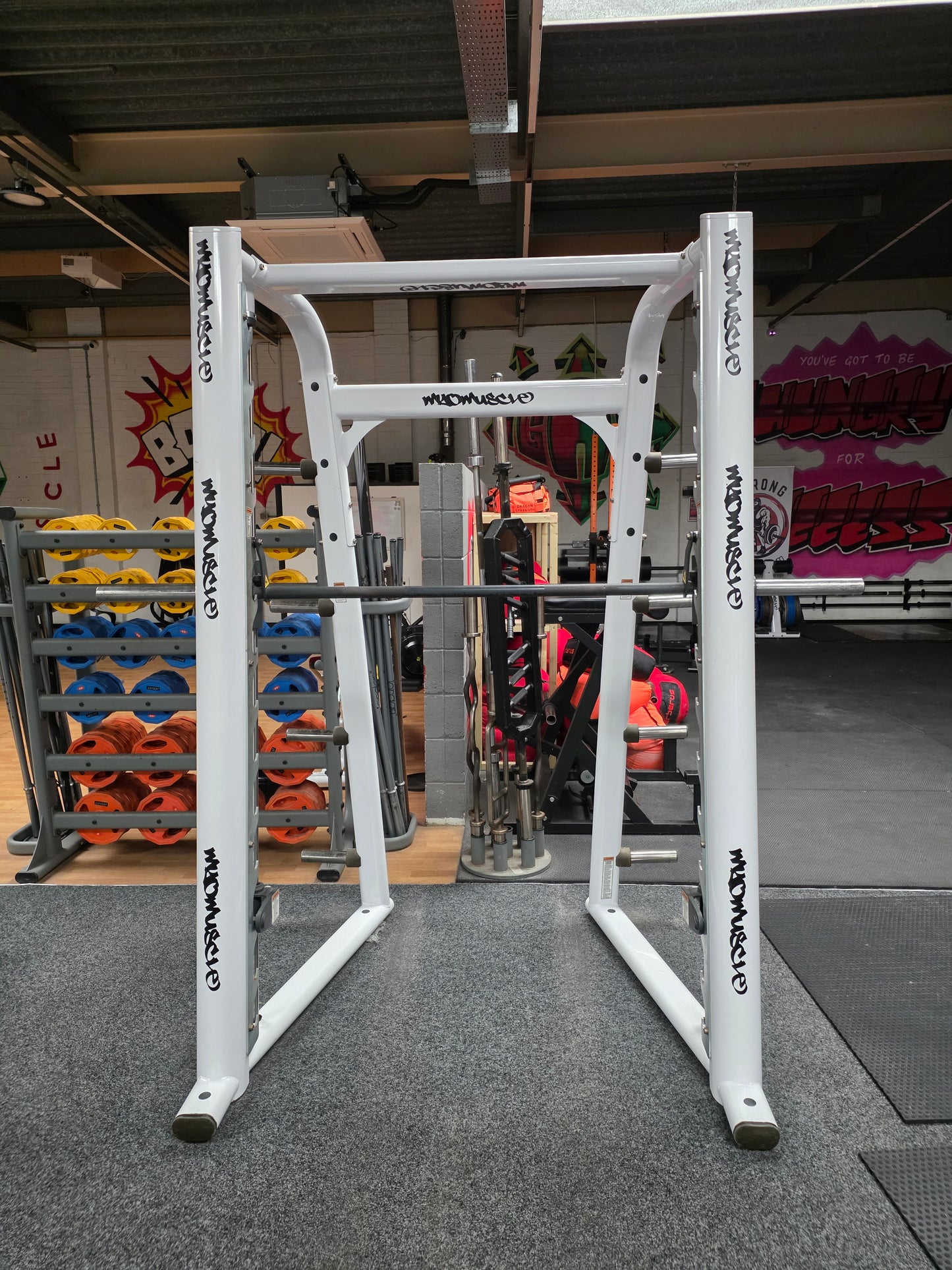 Life Fitness Smith Machine Commercial Gym Equipment