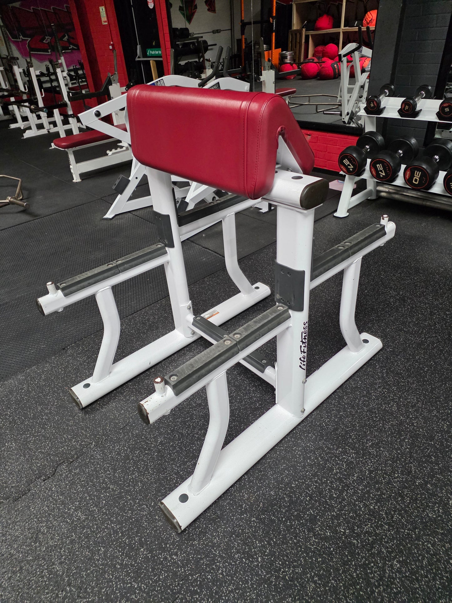 Life Fitness Preacher Curl Bench Commercial Gym Equipment