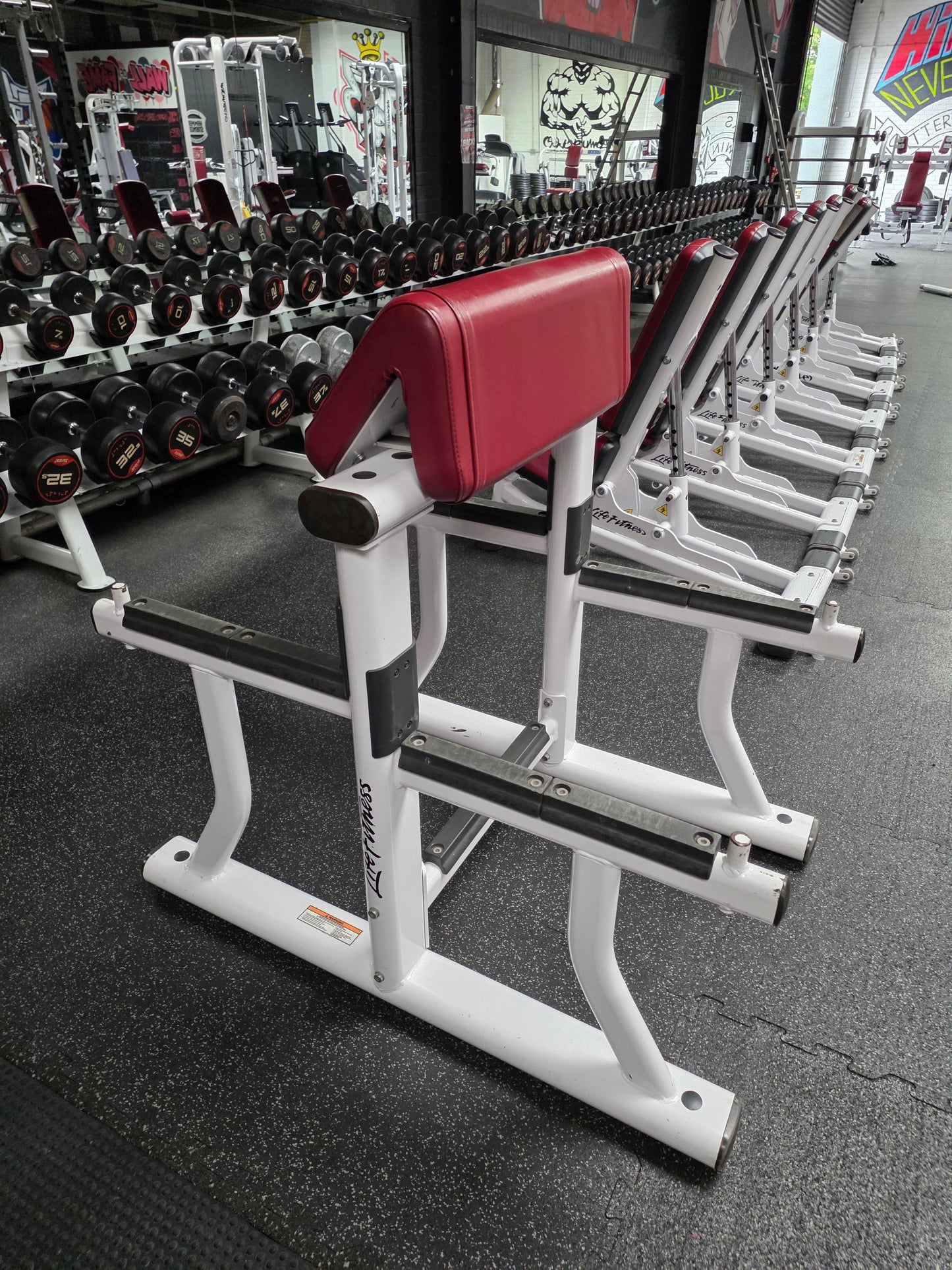 Life Fitness Preacher Curl Bench Commercial Gym Equipment