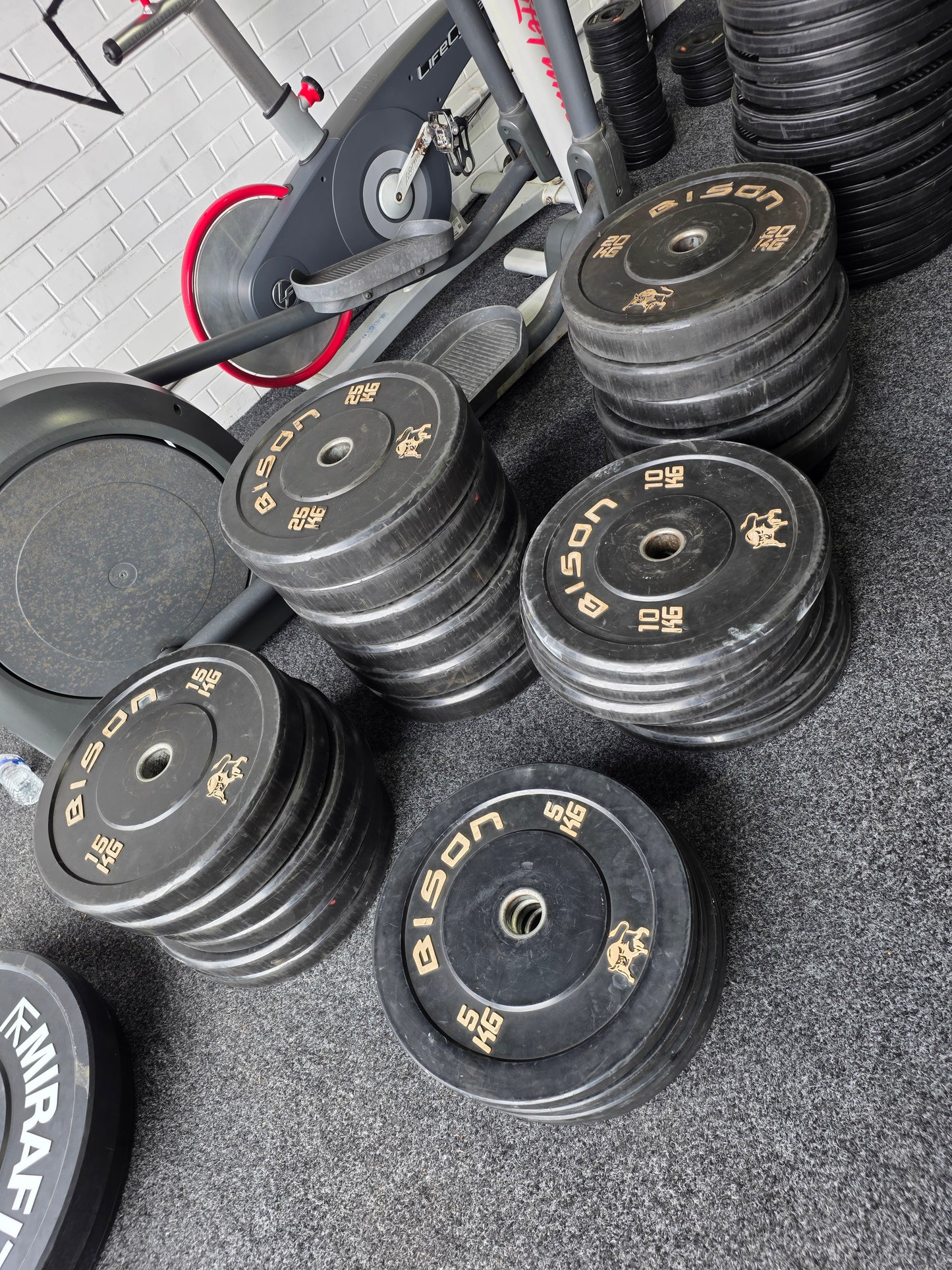 450kg Bison Bumper Plates Commercial Gym Equipment