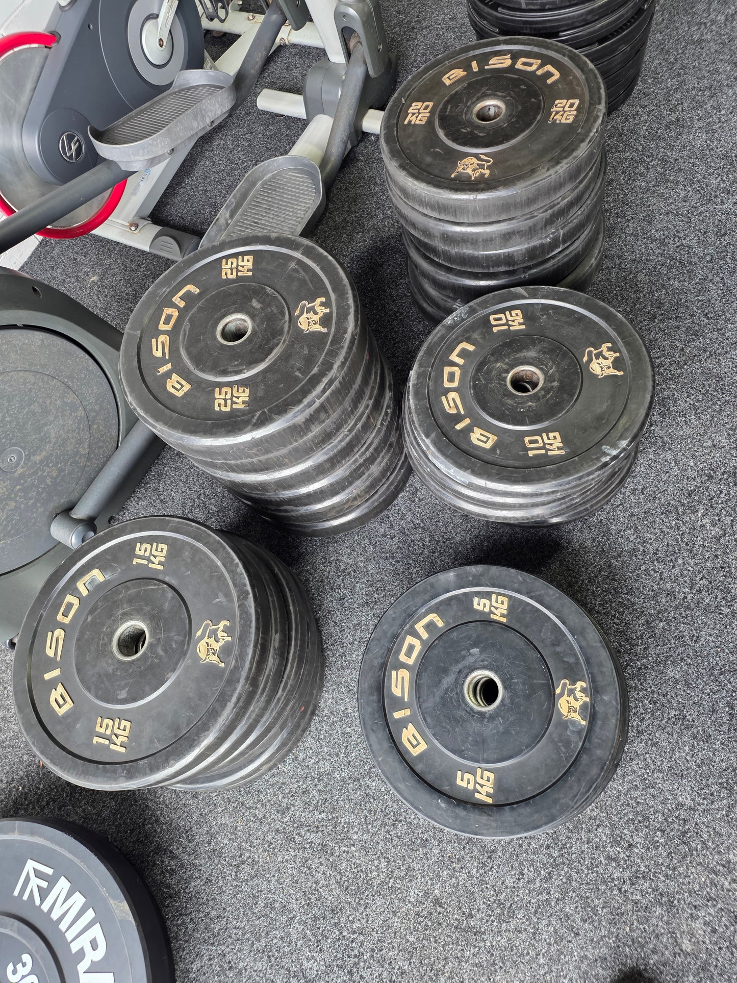 450kg Bison Bumper Plates Commercial Gym Equipment