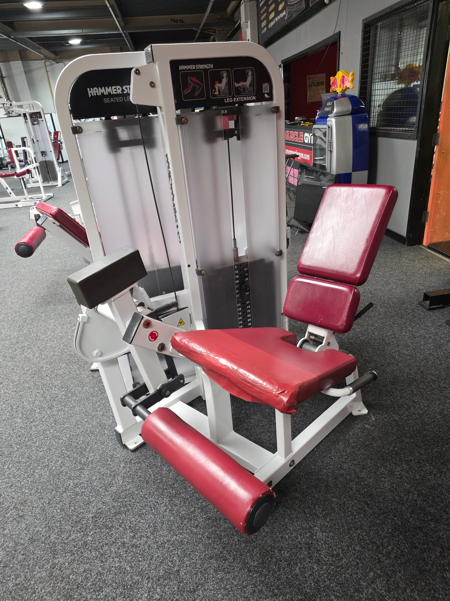 Hammer Strength Leg Extension Machine Commercial Gym Equipment