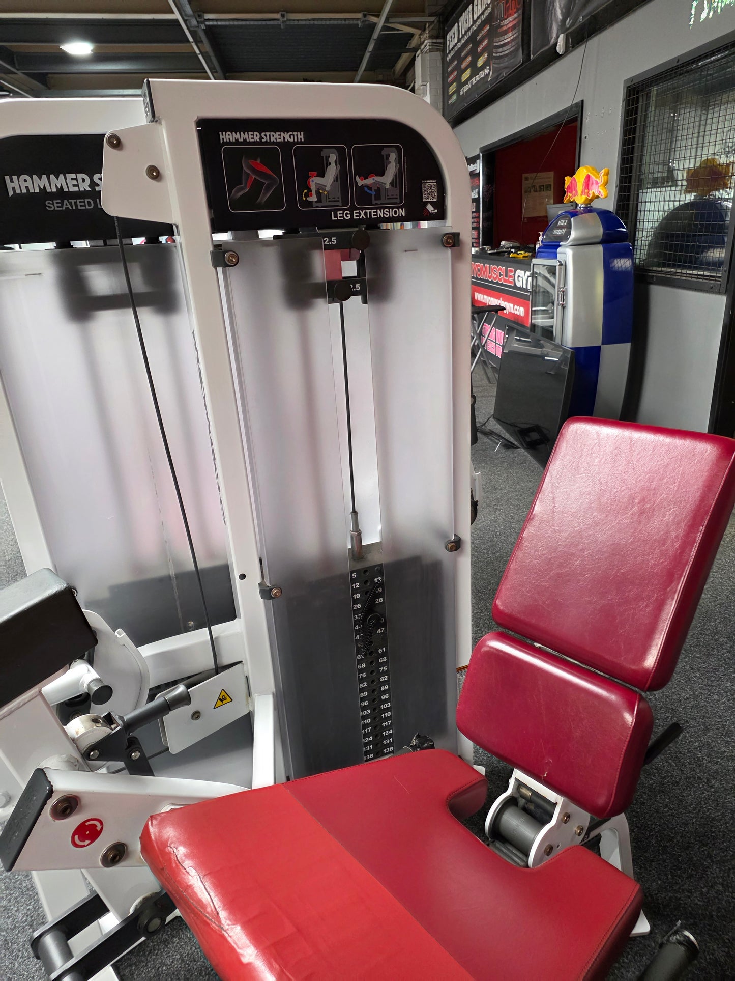 Hammer Strength Leg Extension Machine Commercial Gym Equipment