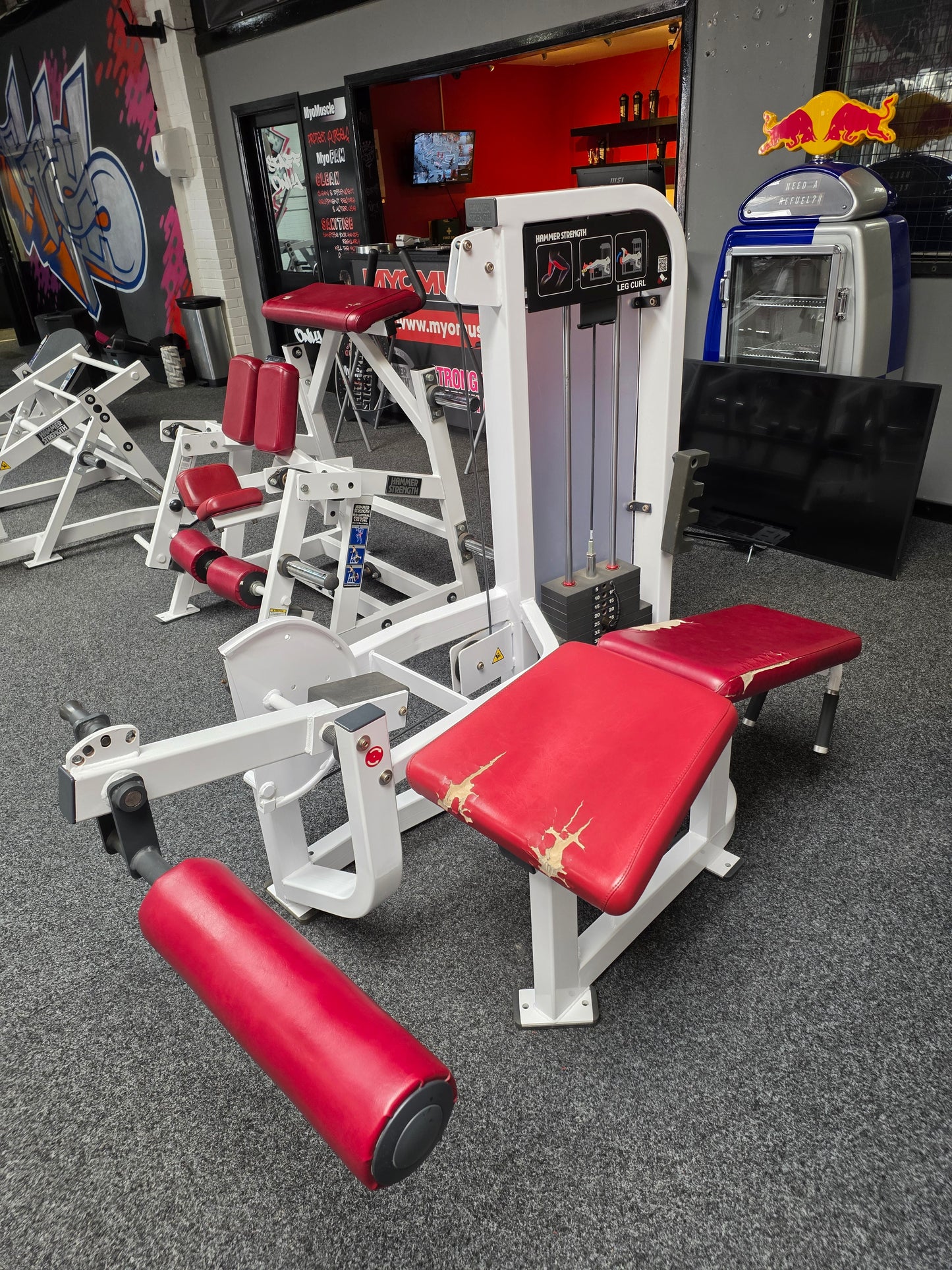Hammer Strength Lying Leg Curl Machine Commercial Gym Equipment