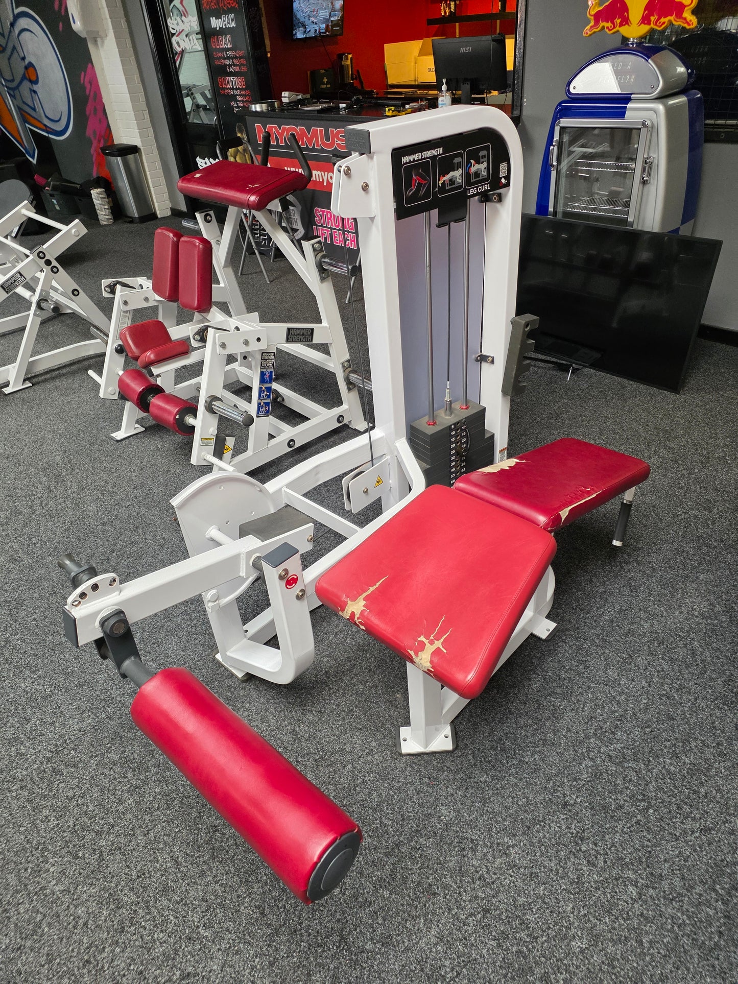 Hammer Strength Lying Leg Curl Machine Commercial Gym Equipment