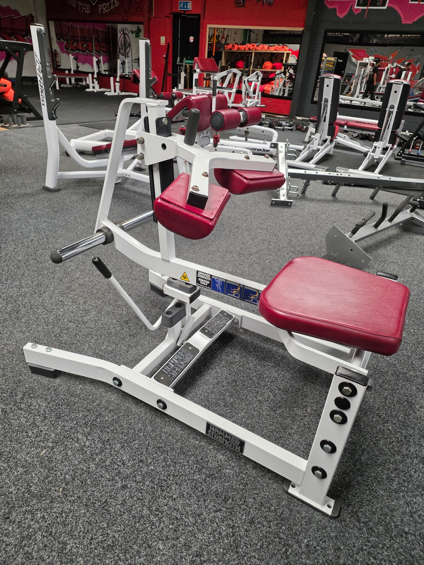 Hammer Strength Seated Calf Raise Commercial Gym Equipment