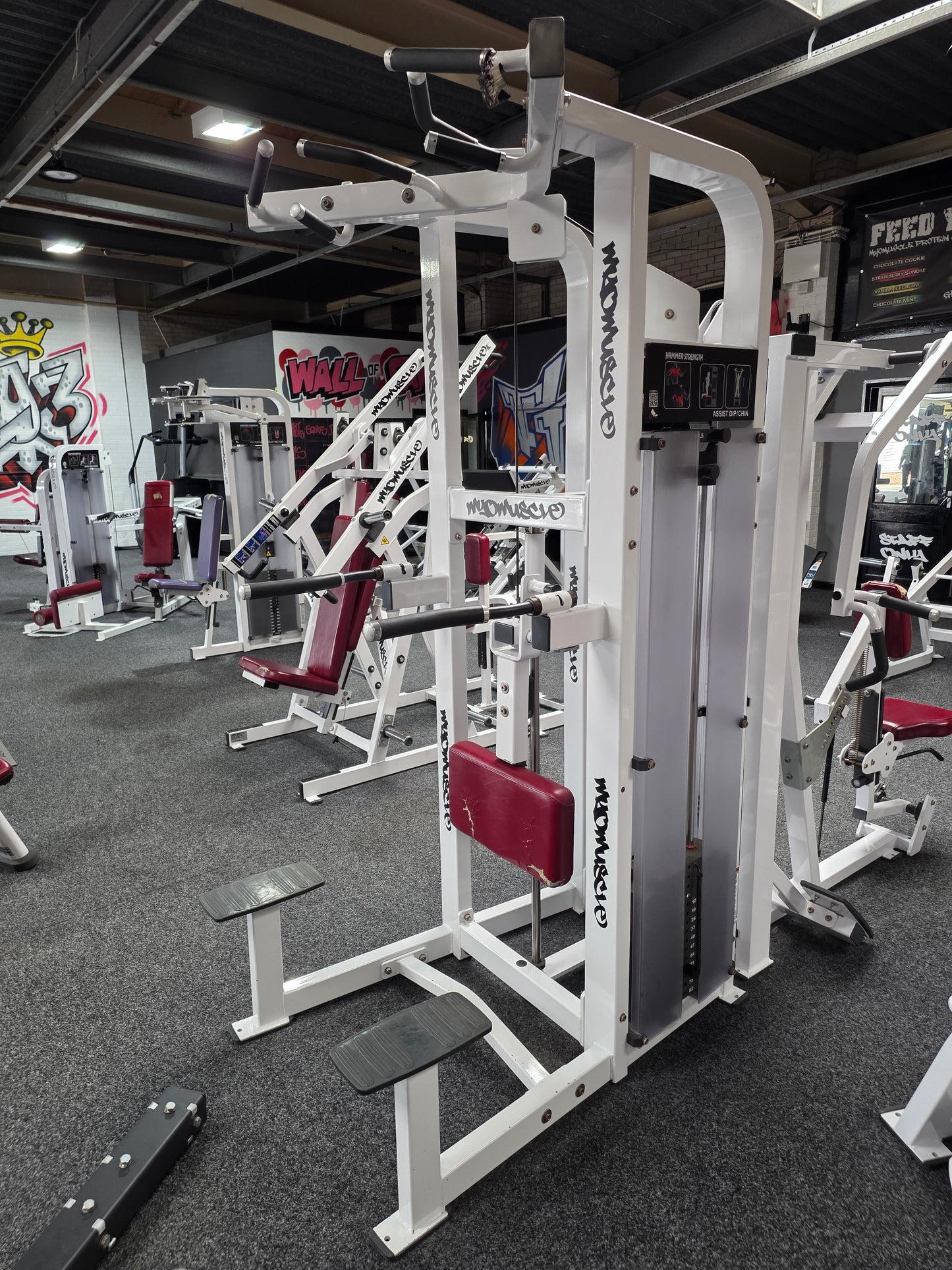 Hammer Strength Dip Chin Assist Machine Commercial Gym Equipment