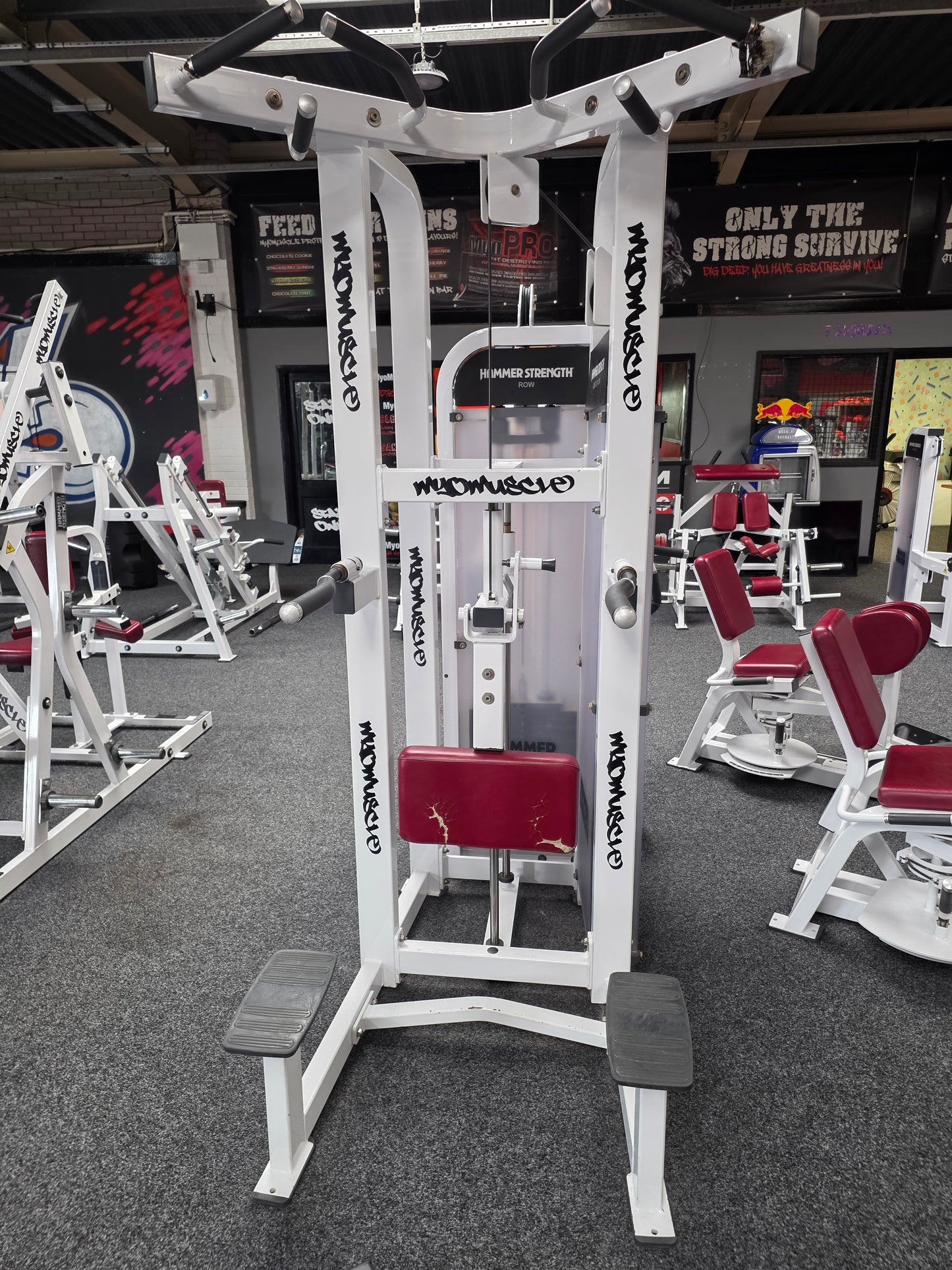 Hammer Strength Dip Chin Assist Machine Commercial Gym Equipment