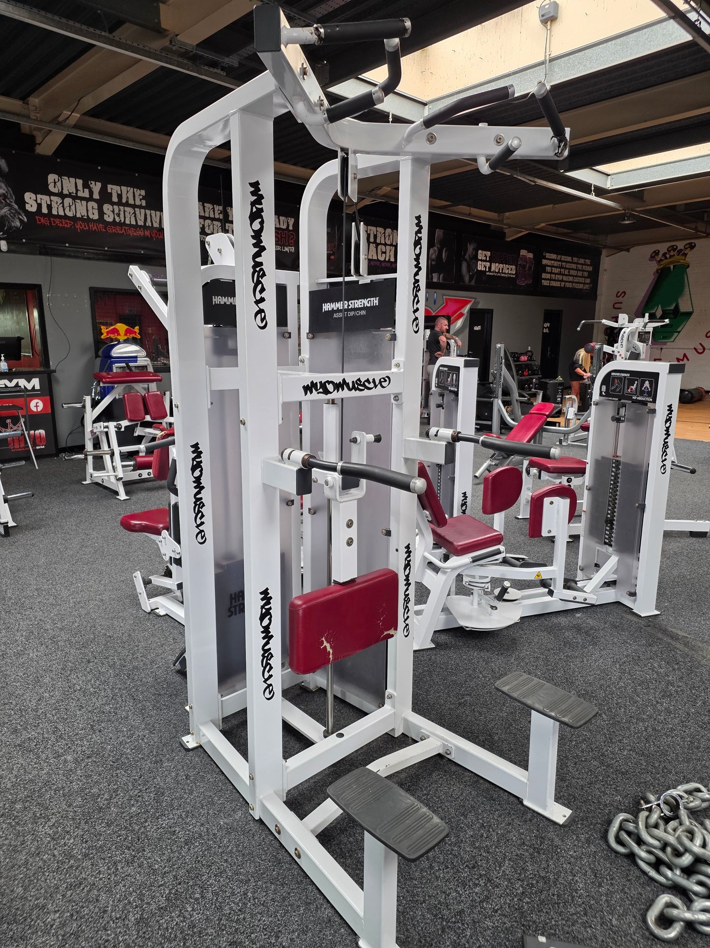 Hammer Strength Dip Chin Assist Machine Commercial Gym Equipment