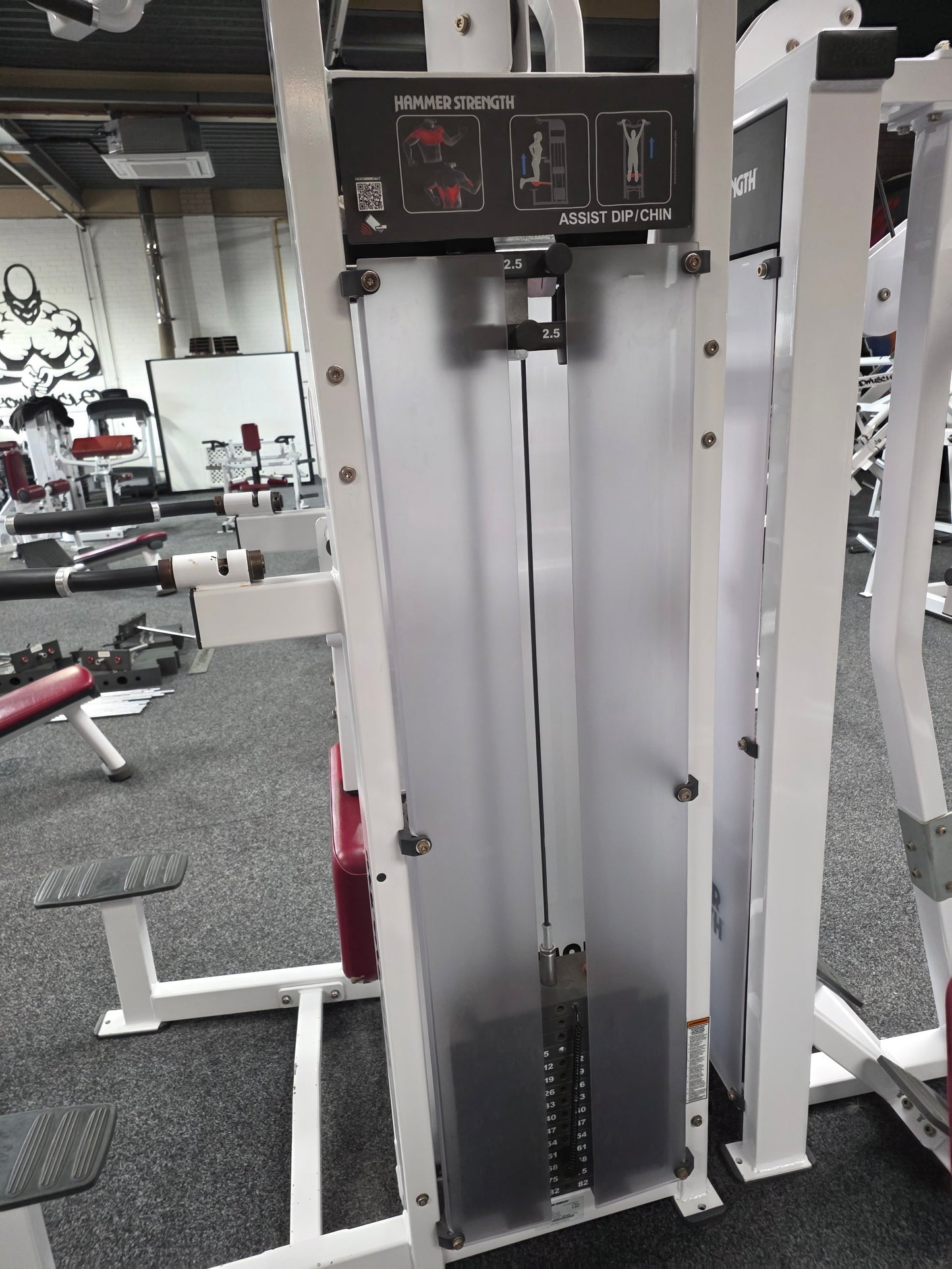 Hammer Strength Dip Chin Assist Machine Commercial Gym Equipment
