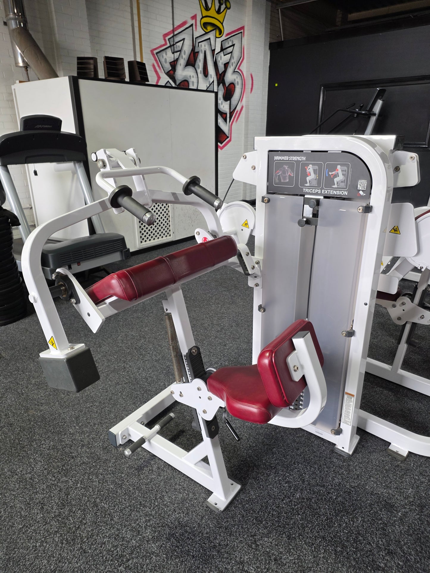 Hammer Strength Tricep Extension Machine Commercial Gym Equipment