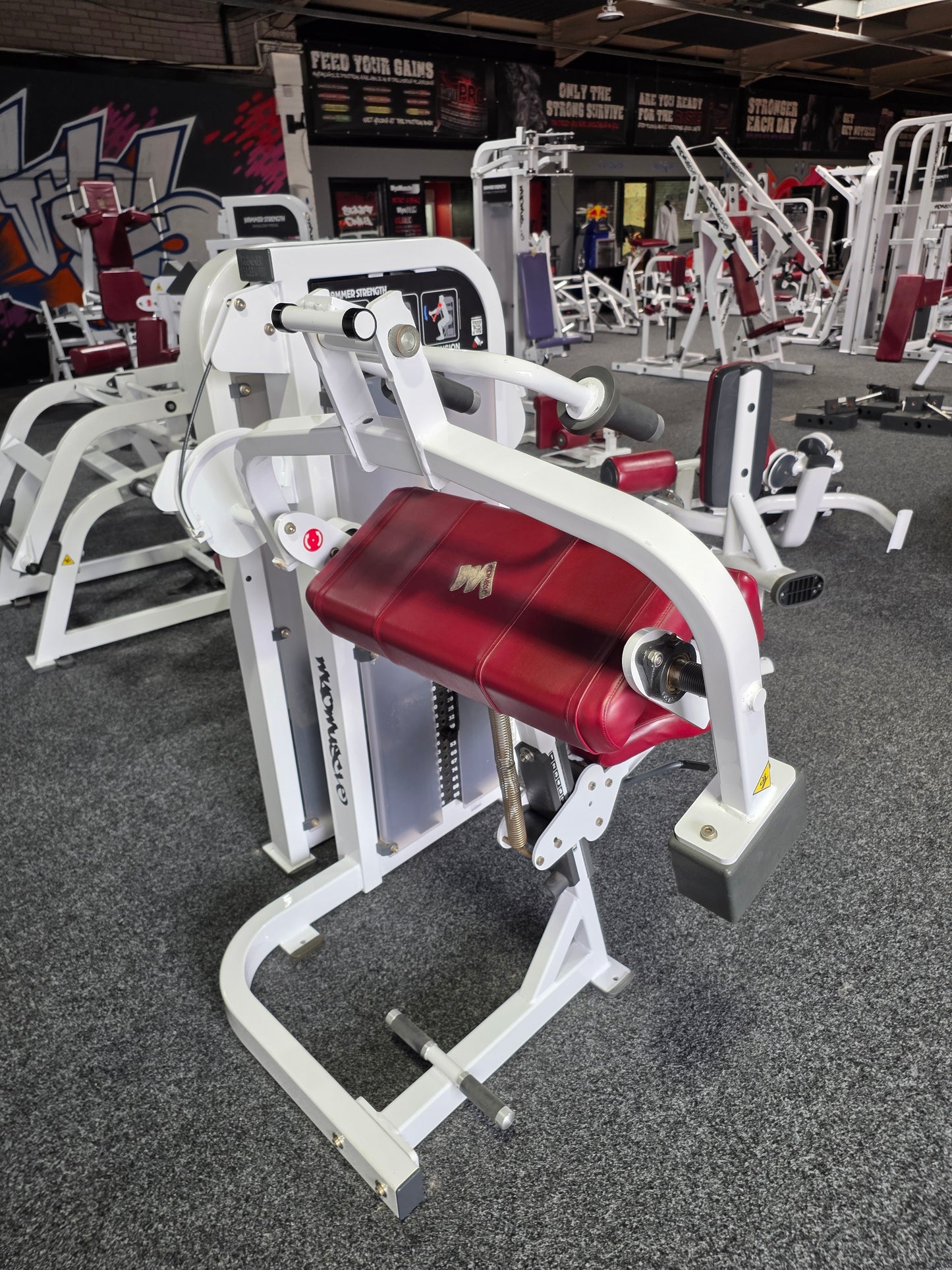 Hammer Strength Tricep Extension Machine Commercial Gym Equipment