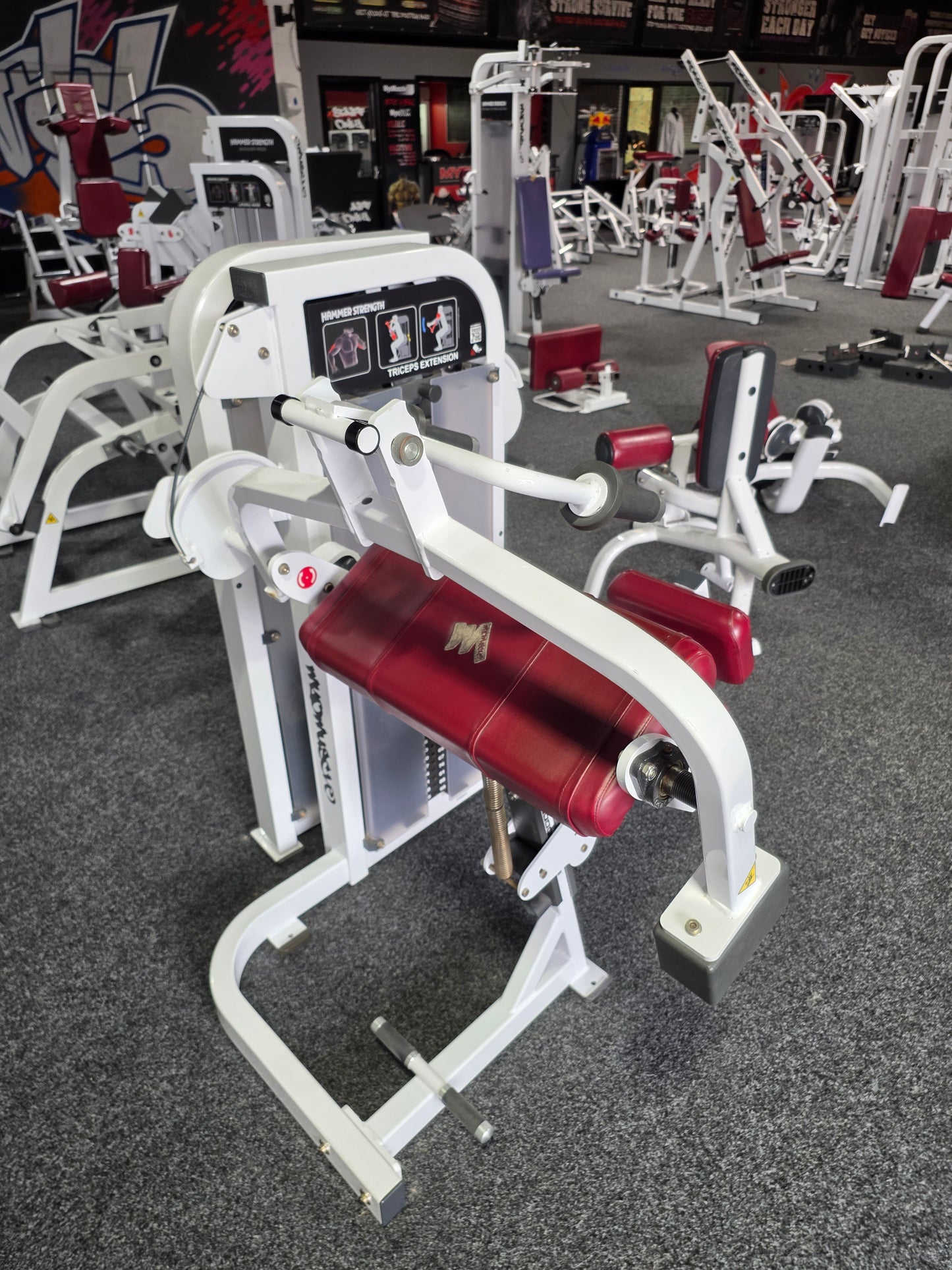 Hammer Strength Tricep Extension Machine Commercial Gym Equipment