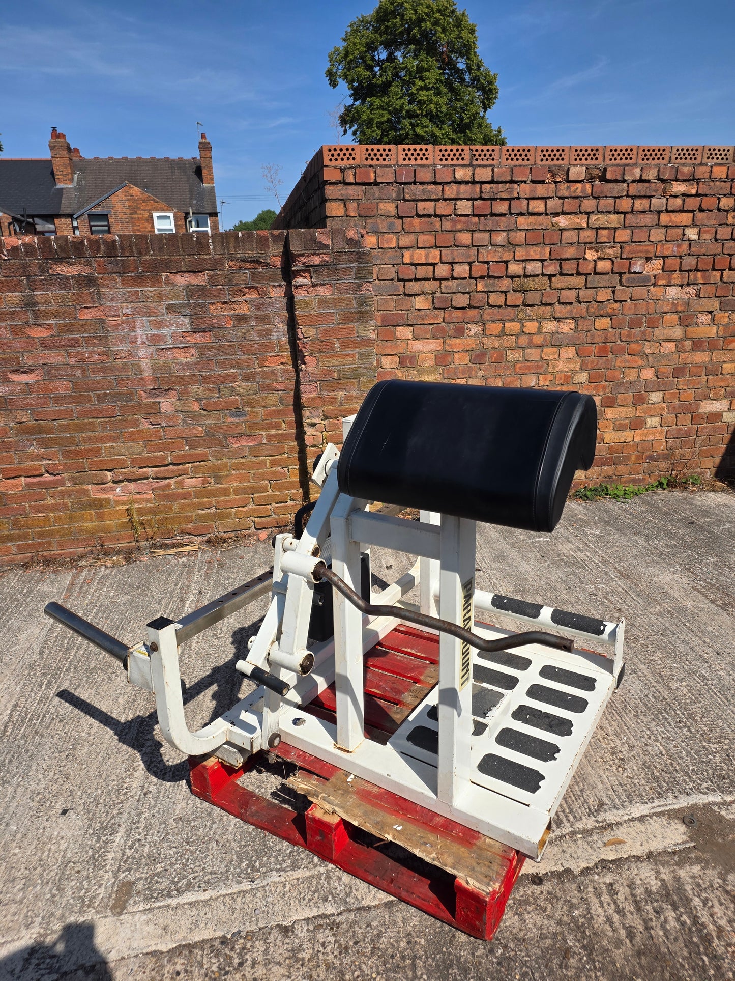 Paramount Total Bicep Curl Machine Commercial Gym Equipment