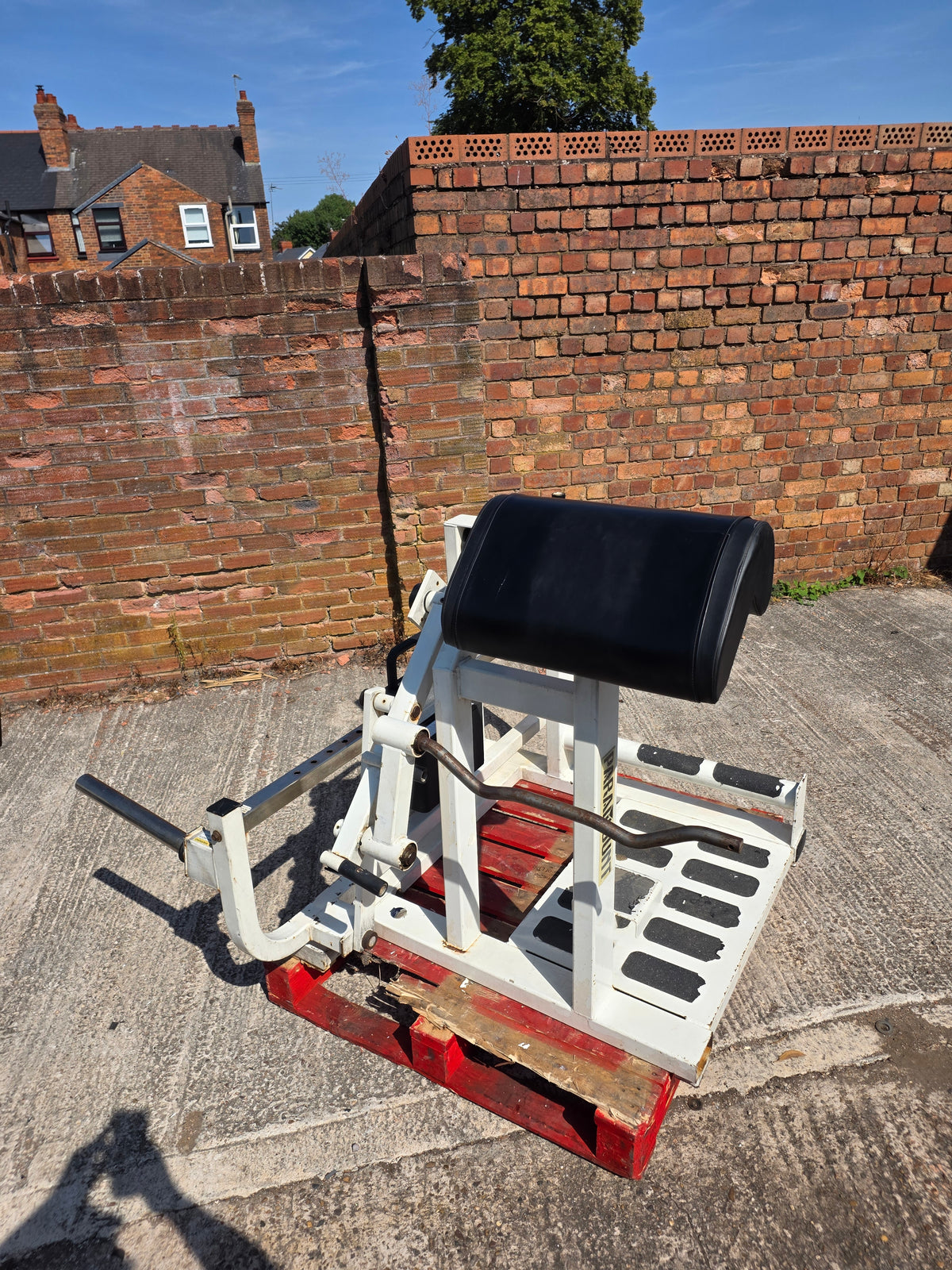 Paramount Total Bicep Curl Machine Commercial Gym Equipment