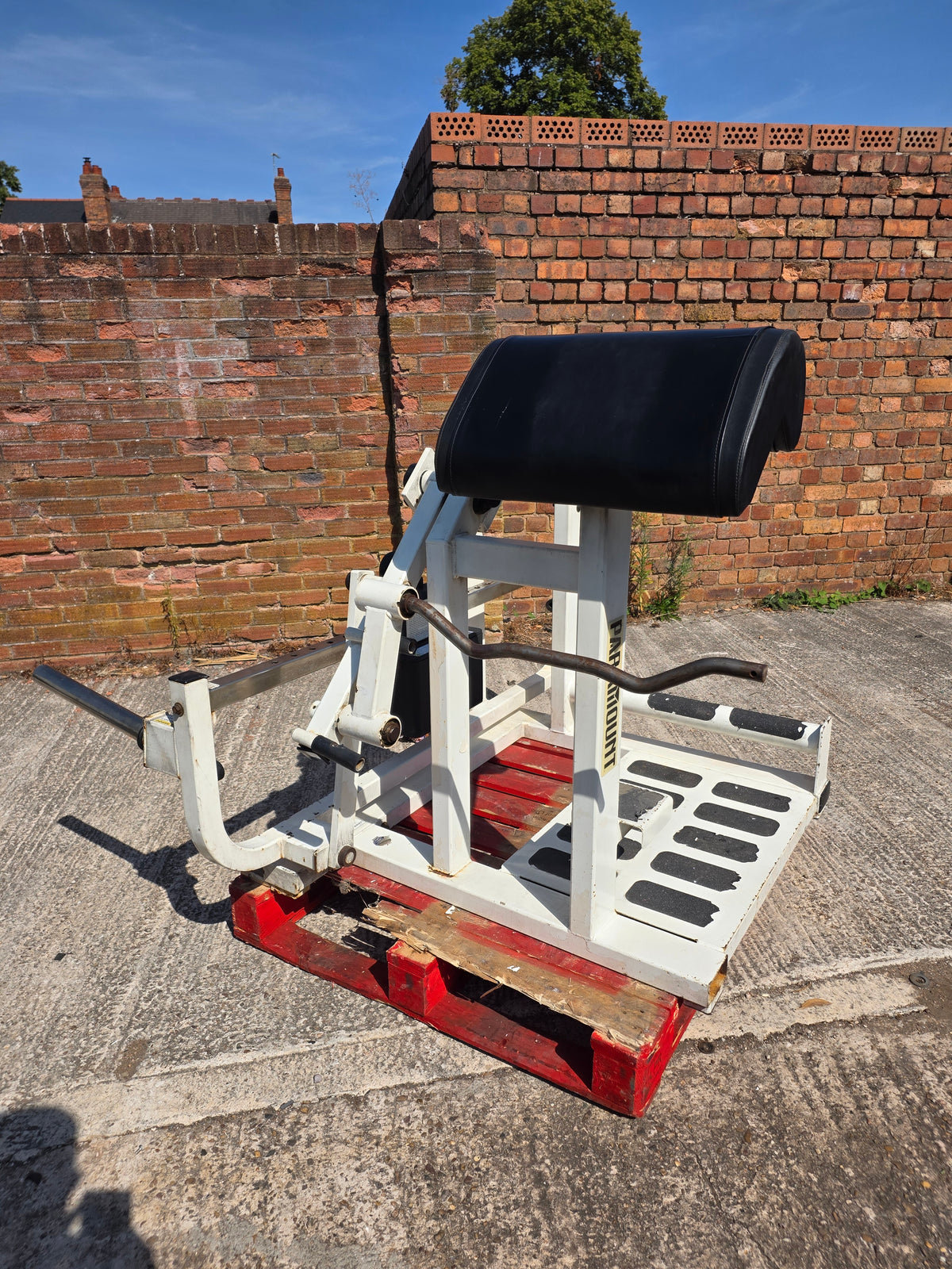 Paramount Total Bicep Curl Machine Commercial Gym Equipment