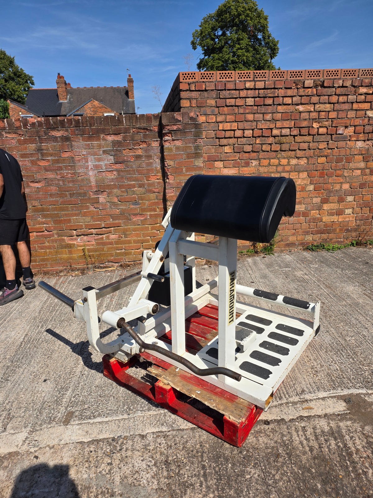 Paramount Total Bicep Curl Machine Commercial Gym Equipment
