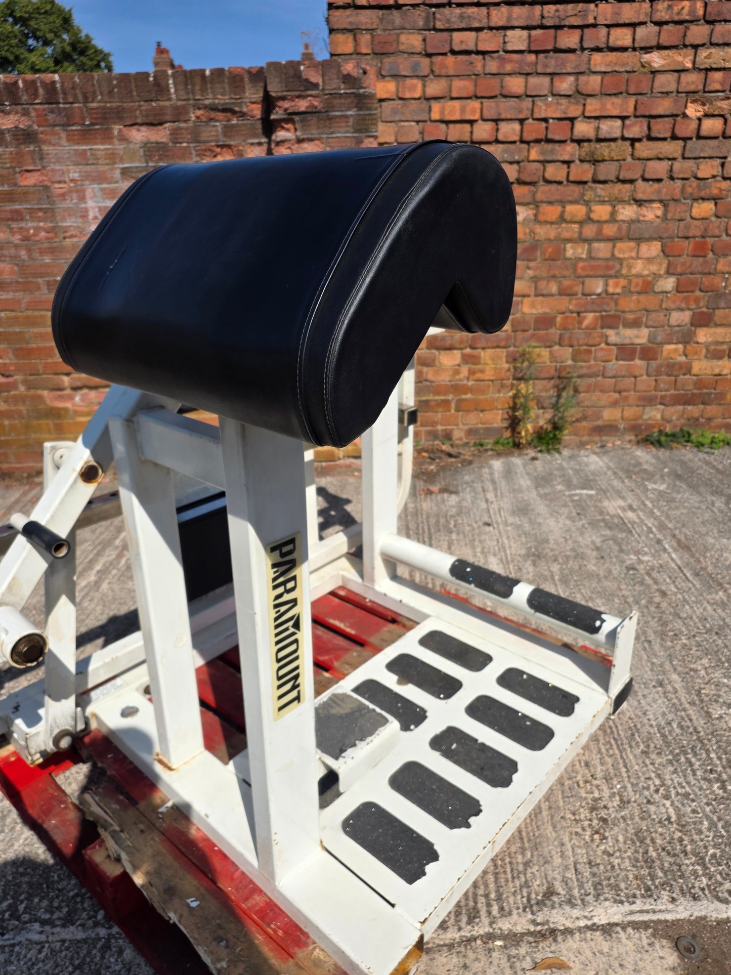 Paramount Total Bicep Curl Machine Commercial Gym Equipment
