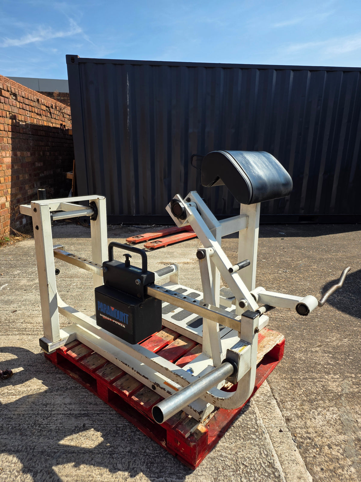 Paramount Total Bicep Curl Machine Commercial Gym Equipment