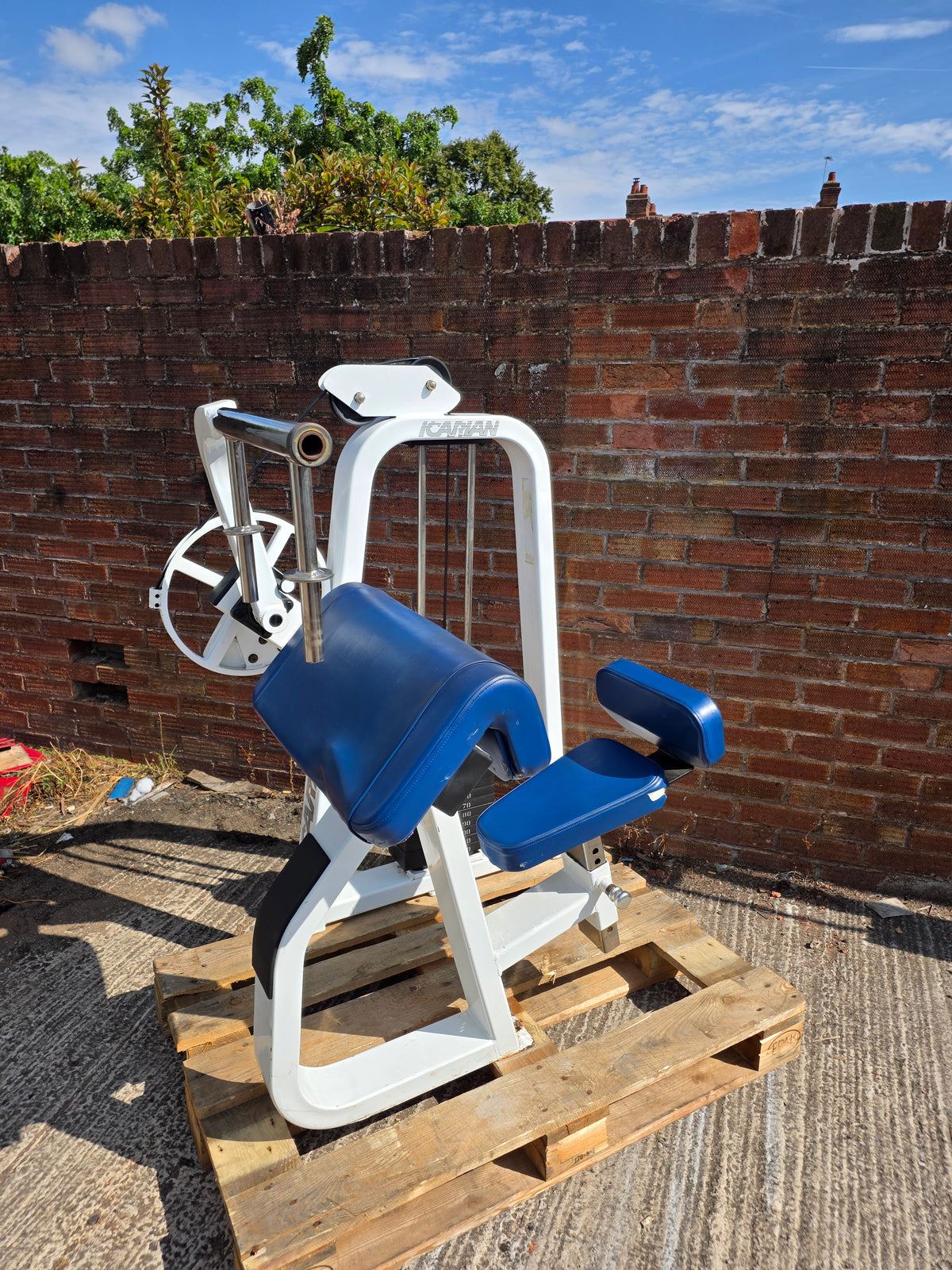 Precor Icarian Cross Cam Tricep Extension Machine Commercial Gym Equipment