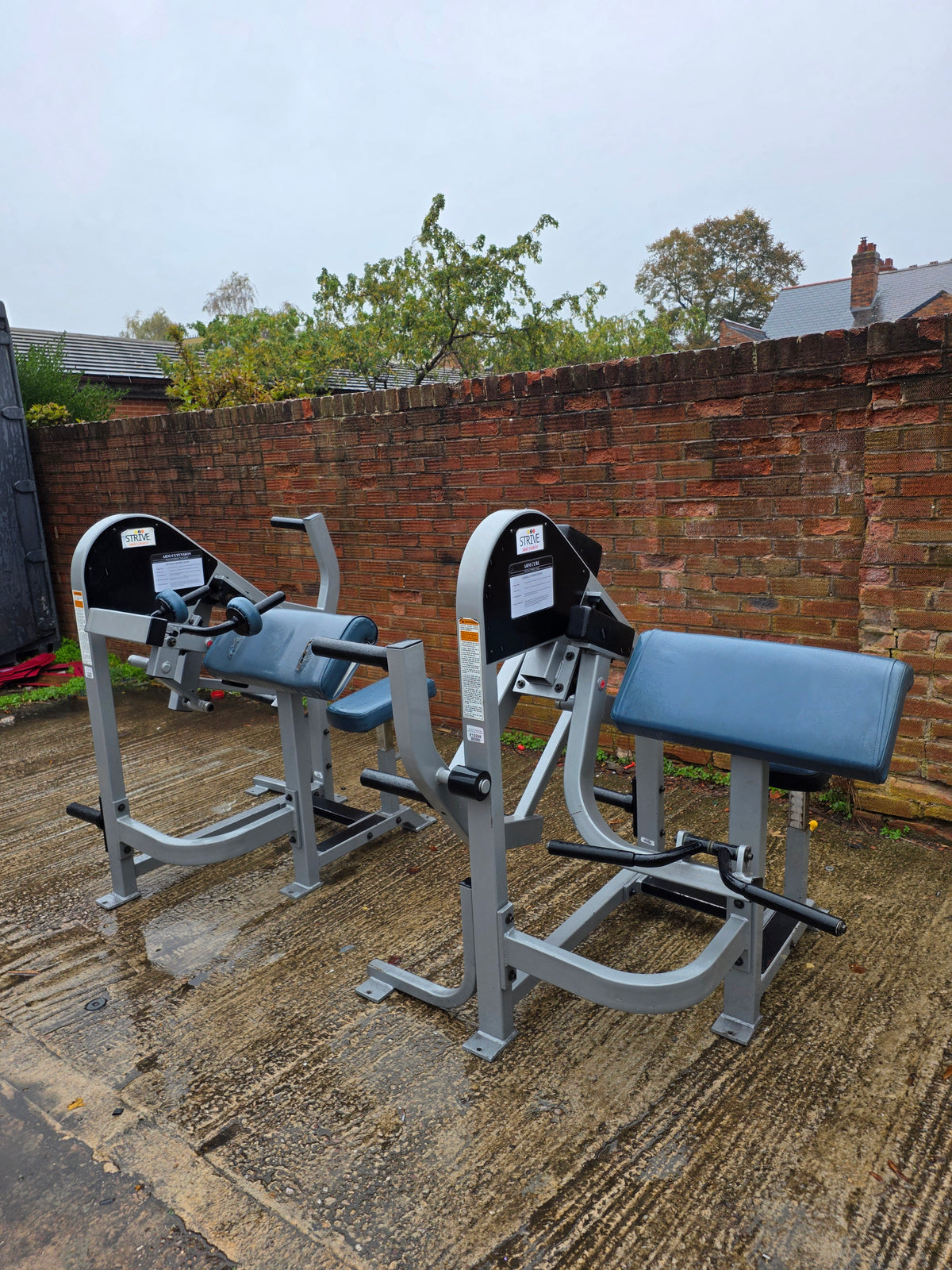 Strive Bicep & Tricep Extension Machines Commercial Gym Equipment