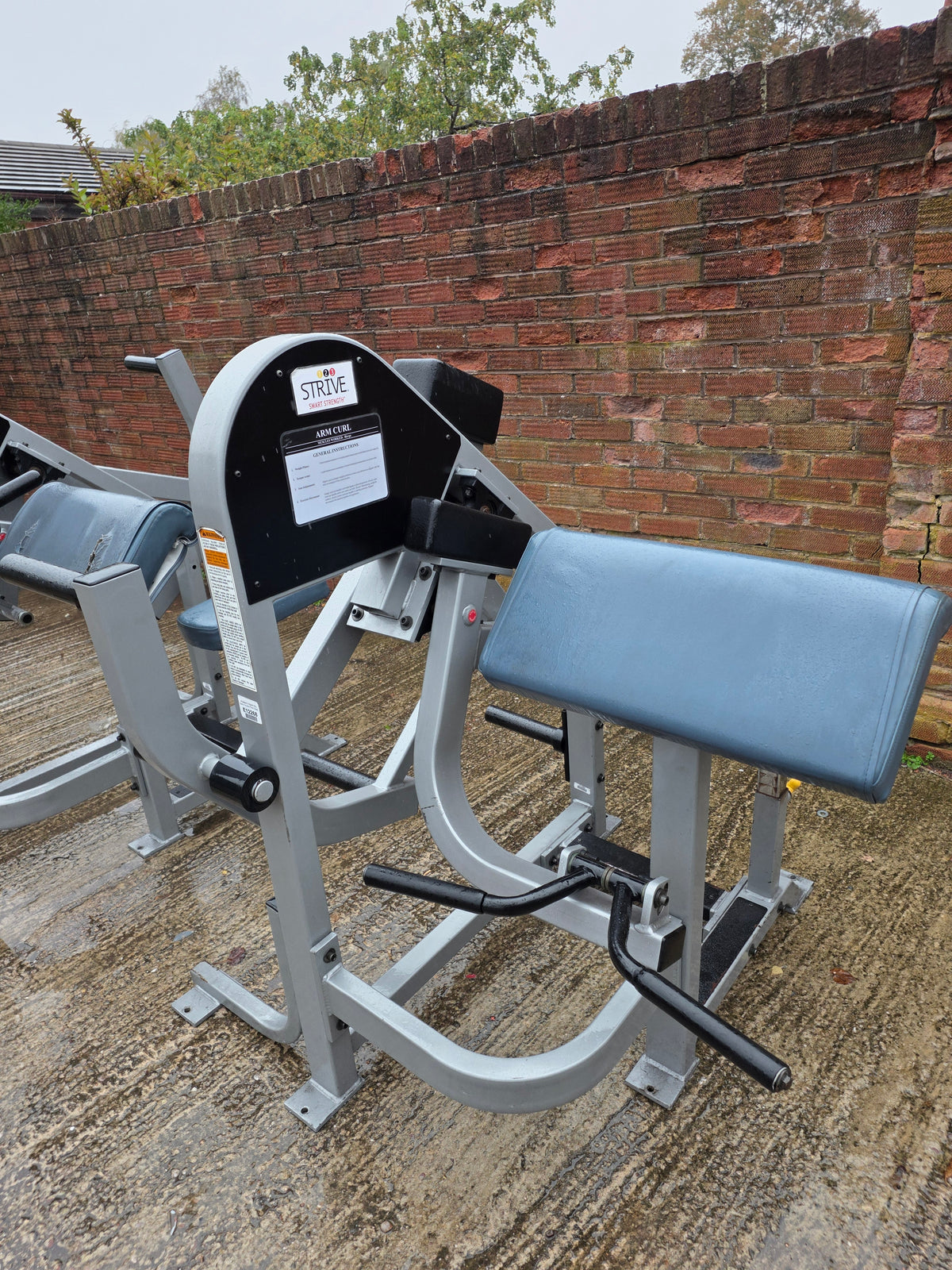 Strive Bicep & Tricep Extension Machines Commercial Gym Equipment