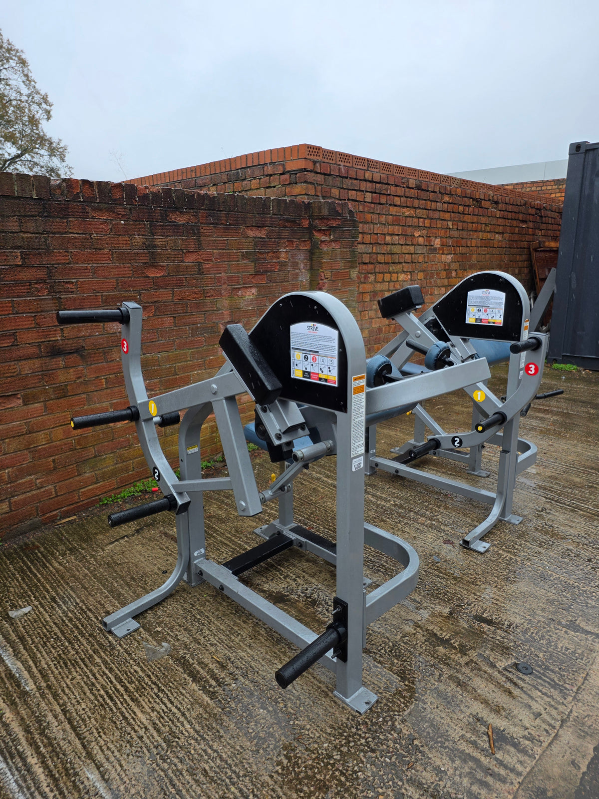 Strive Bicep & Tricep Extension Machines Commercial Gym Equipment