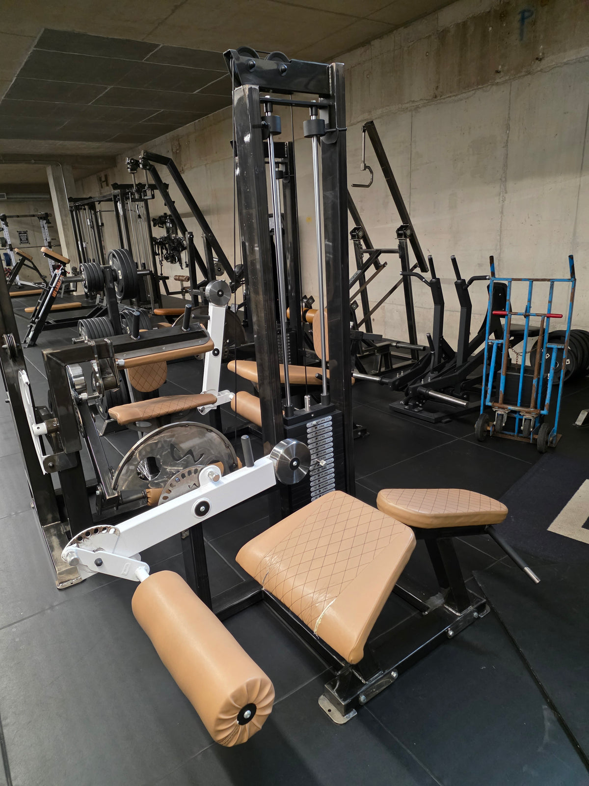 X3 Watson Leg Extension, Seated Hamstring Curl & Lying Hamstring Curl Machines