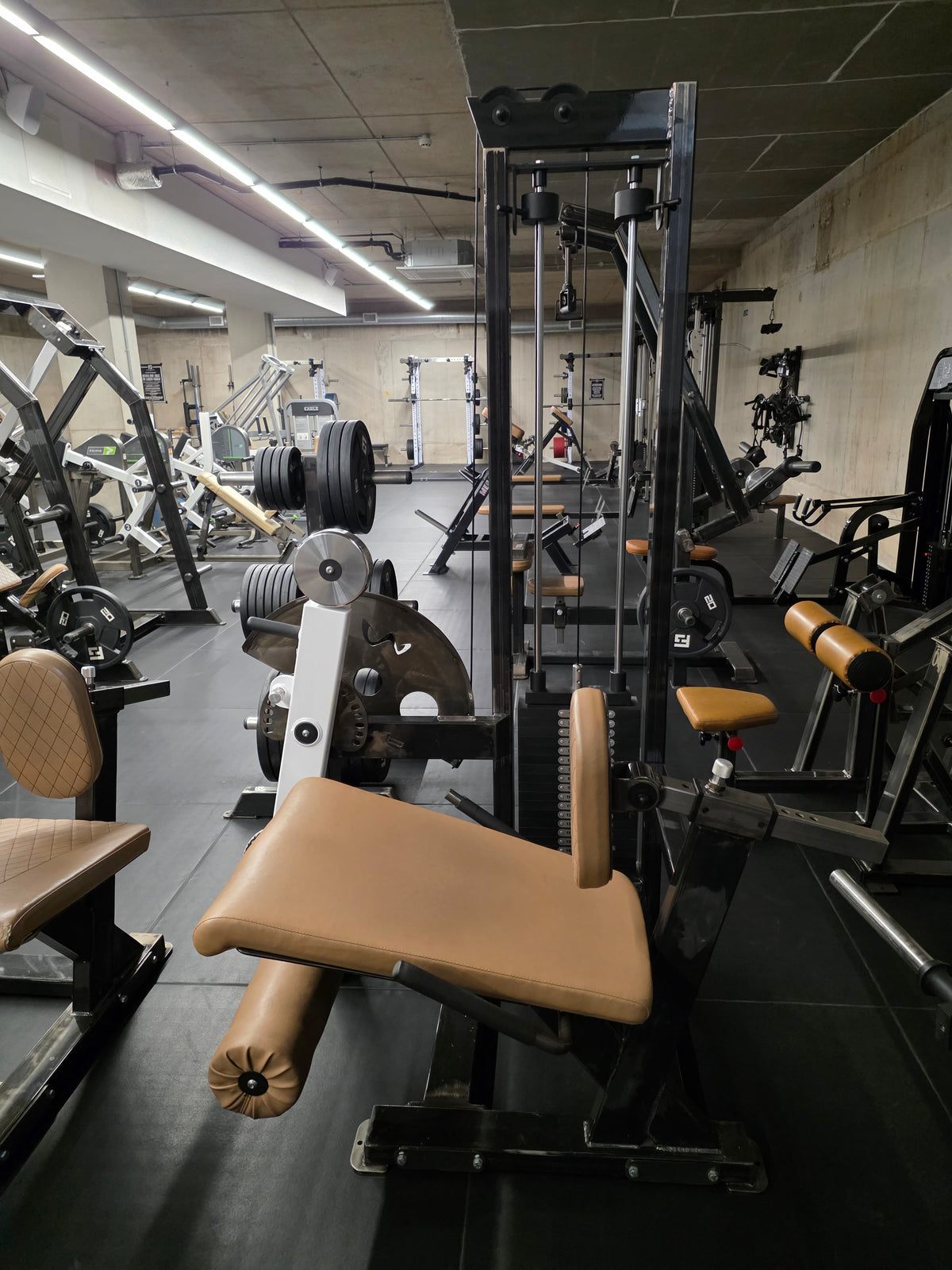 Watson Leg Extension Machine Commercial Gym Equipment