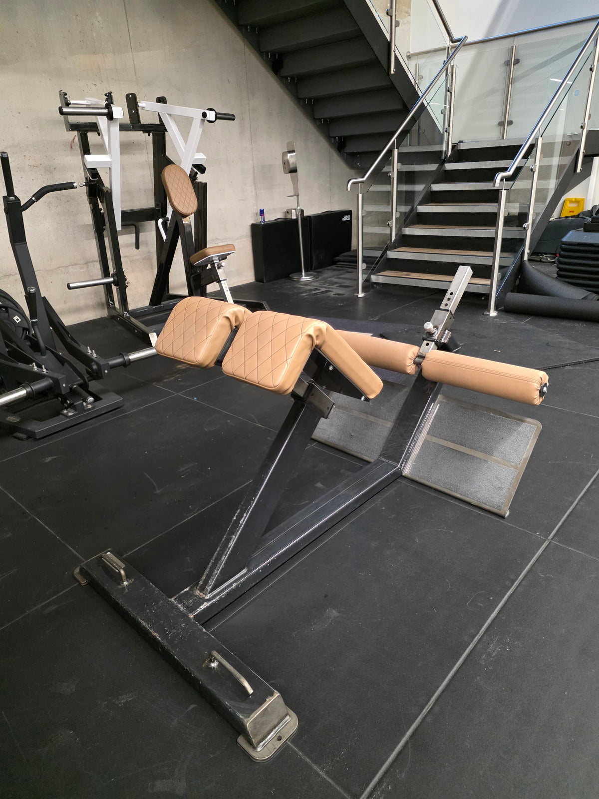 Watson Animal Hyper Extension Bench Commercial Gym Equipment