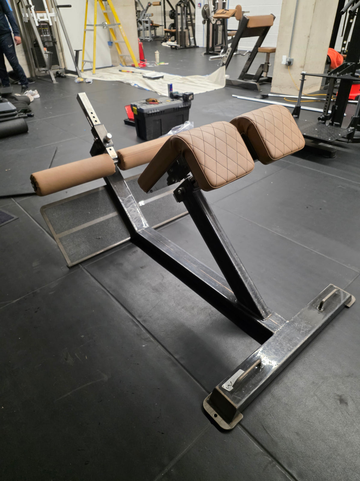 Watson Animal Hyper Extension Bench Commercial Gym Equipment