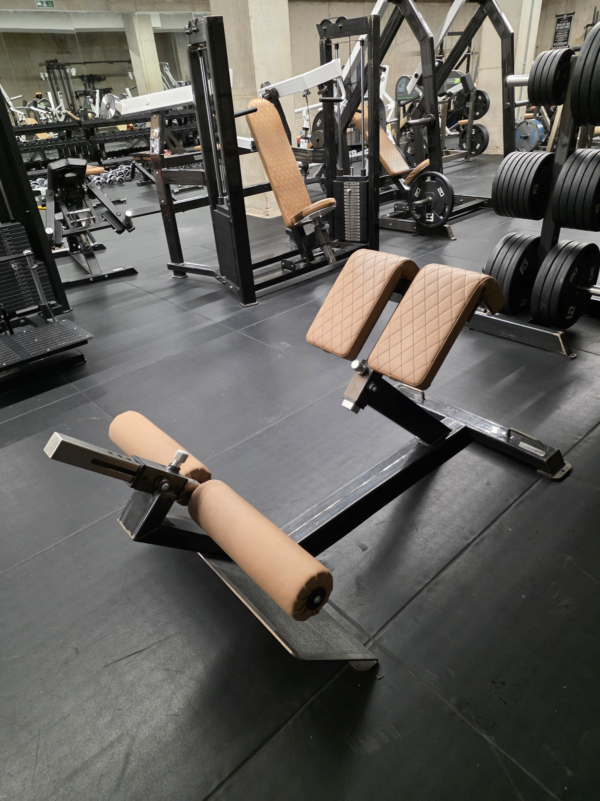 Watson Animal Hyper Extension Bench Commercial Gym Equipment