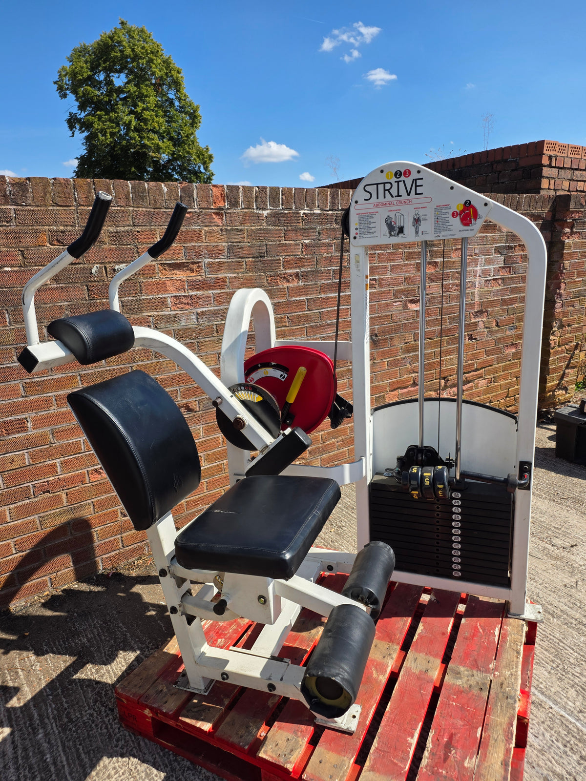 Strive Abdominal Crunch Machine Commercial Gym Equipment