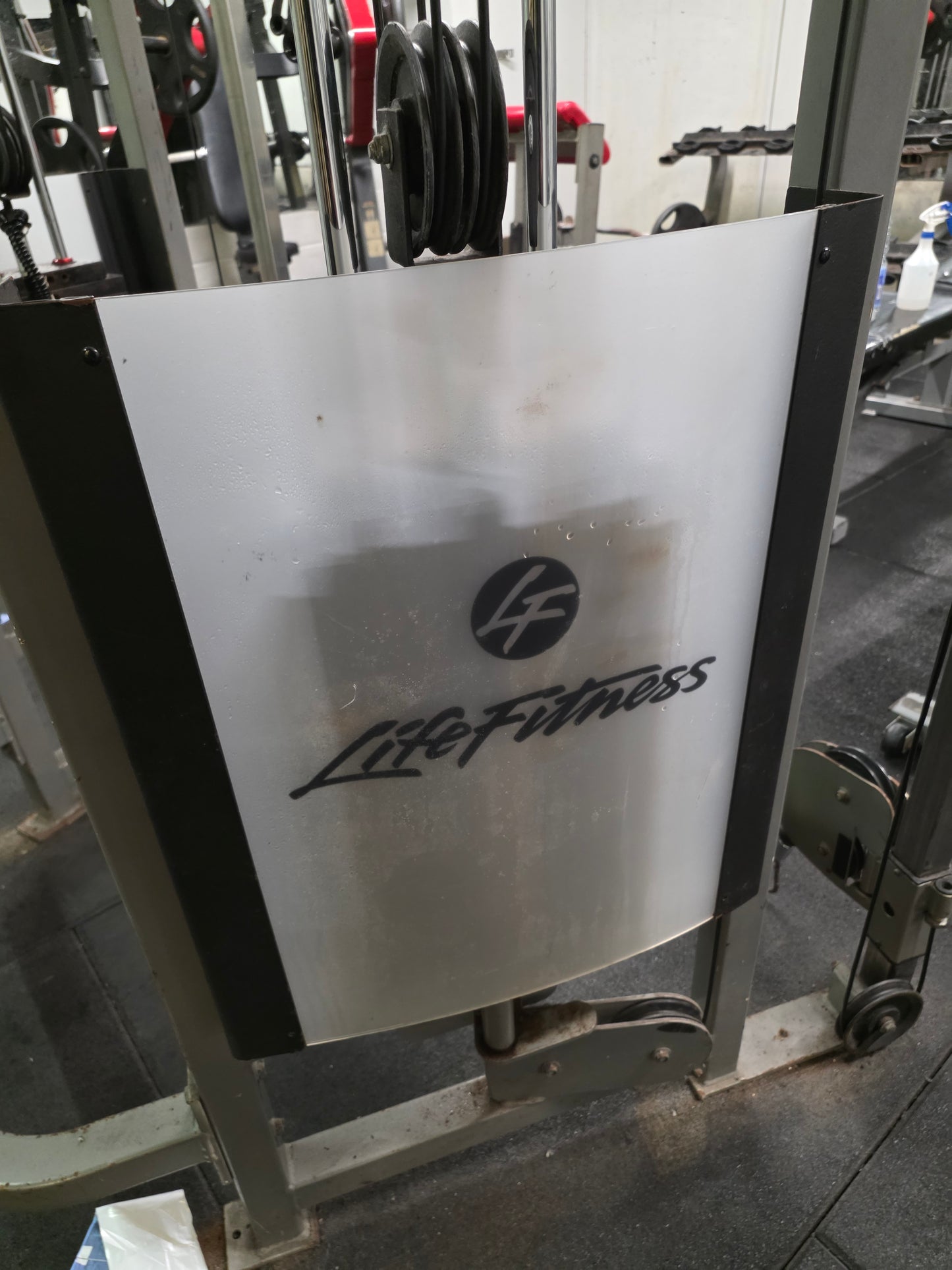 Life Fitness DAP Dual Adjustable Pulley Commercial Gym Equipment