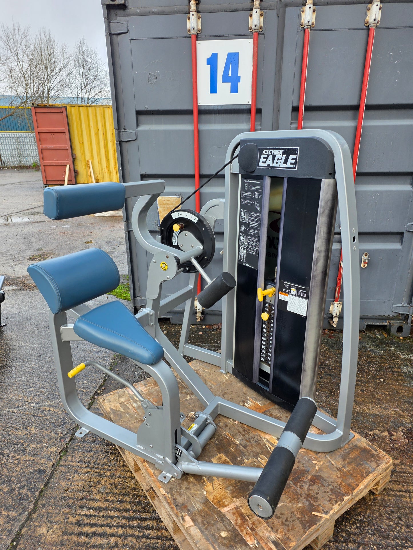 Cybex Eagle Lower Back Extension Machine Commercial Gym Equipment