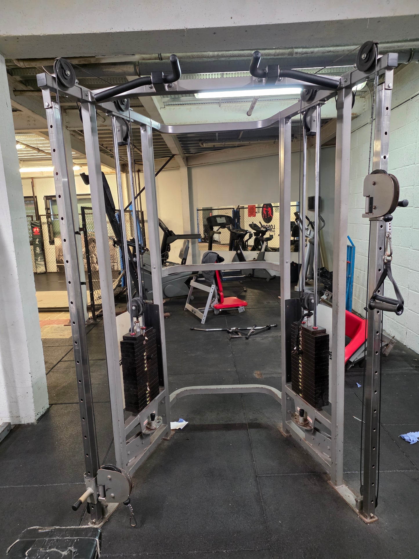 Life Fitness DAP Dual Adjustable Pulley Commercial Gym Equipment