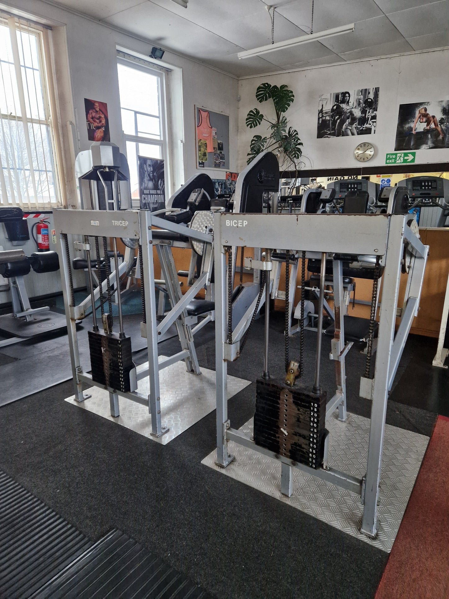 X2 Nautilus 1st Gen Bicep & Tricep Machines Commercial Gym Equipment