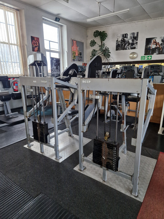 X2 Nautilus 1st Gen Bicep & Tricep Machines Commercial Gym Equipment