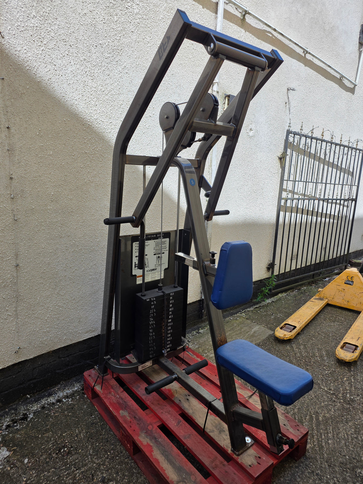 Cybex Classic Back Row Machine Commercial Gym Equipment