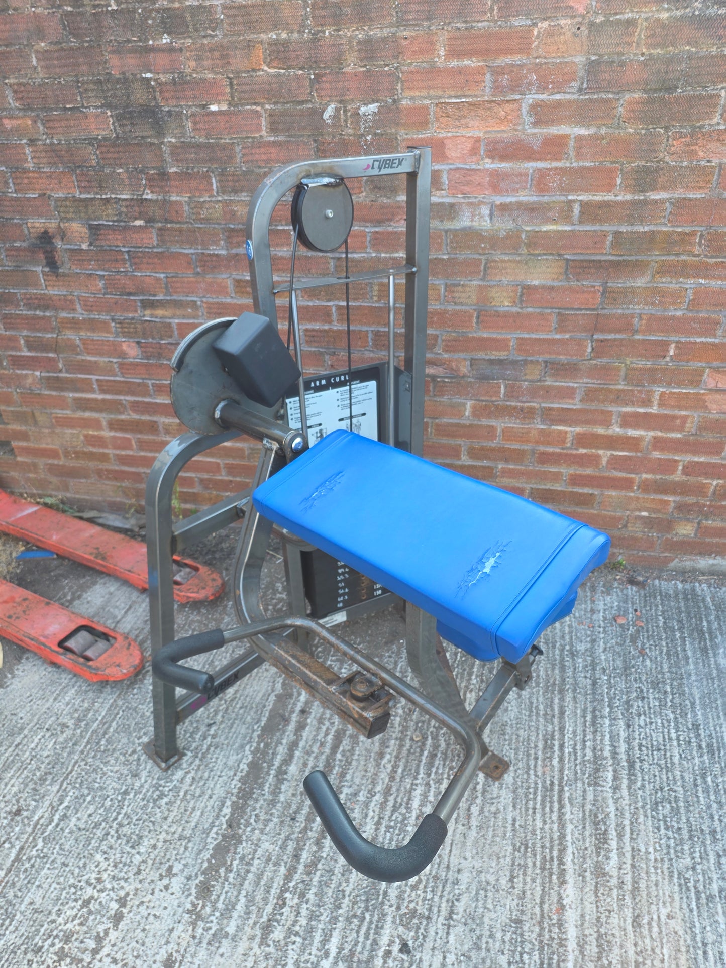 Cybex Bicep Curl Machine Commercial Gym Equipment