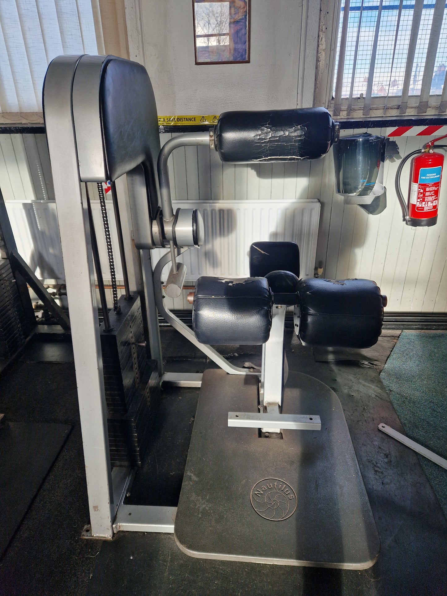 Nautilus Lower Back Extension Machine 1st Gen Commercial Gym Equipment